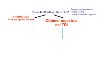 Nuevo  Infiltrado  en Rx o TAC Obtener muestras del TRI Secreciones purulentas Fiebre > 38ºC Leucocitosis o leucopenia  + 2  HEMO Cultivo CultivoLíquido Pleural 