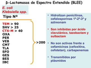 Hidrolizan penicilinas, cefalosporinas 1ª-2ª-3ª y aztreonam  Son inhibidas por ácido clavulánico, tazobactam y sulbactam No son activas frente a cefamicinas (cefoxitina, cefotetan), carbapenemas  Transmitidos por plásmidos Tipo Nº TEM  > 90 SHV > 25 CTX-M  > 40 OXA PER VEB CMT TLA SFO GES BES IBC >200 β-Lactamasas de Espectro Extendido (BLEE) E. coli Klebsiella spp. 