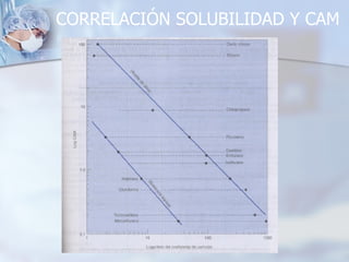 CORRELACIÓN SOLUBILIDAD Y CAM 