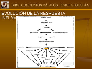 SIRS: CONCEPTOS BÁSICOS. FISIOPATOLOGÍA. EVOLUCIÓN DE LA RESPUESTA INFLAMATORIA: . 