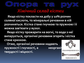 Хімічний склад кістки
Якщо кістку покласти на добу у 10% розчин
соляної кислоти, то мінеральні речовини в ній
розчиняться. Кістка стане гнучкою та пружною і її
можна зав’язати у вузол.
Якщо кістку прожарити на вогні, то вода з неї
випарується, органічні речовини згорять і кістка
стане крихкою.
Отже, органічні речовини надають кісткам
пружності і гнучкості, а неорганічні –
твердості і міцності.
 