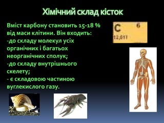 Вміст карбону становить 15-18 %
від маси клітини. Він входить:
-до складу молекул усіх
органічних і багатьох
неорганічних сполук;
-до складу внутрішнього
скелету;
- є складовою частиною
вуглекислого газу.
Хімічнийскладкісток
 