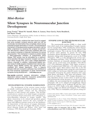 Journal of Neuroscience Research 89:3–12 (2011)




Mini-Review
Silent Synapses in Neuromuscular Junction
Development
Josep Tomas,* Manel M. Santafe, Maria A. Lanuza, Neus Garcıa, Nuria Besalduch,
          `                  ´                            ´
              `
and Marta Tomas
                                                                    `
Unitat d’Histologia i Neurobiologia (UHN), Facultat de Medicina i Ciencies de la Salut,
Universitat Rovira i Virgili, Reus, Spain

In the last few years, evidence has been found to suggest            SYNAPSE LOSS IN THE NEUROMUSCULAR
that some synaptic contacts become silent but can be                                         JUNCTION
functionally recruited before they completely retract during               The neuromuscular junction (NMJ) is a classic model
postnatal synapse elimination in muscle. The physiological         from which much of our understanding of synaptic transmis-
mechanism of developmental synapse elimination may be              sion has emerged (Katz, 1996), including the calcium-depend-
better understood by studying this synapse recruitment.            ent quantal nature of transmitter release and the response of the
This Mini-Review collects previously published data and            postsynaptic receptors. This is also true for the different forms
new results to propose a molecular mechanism for axonal            of nervous system plasticity. In general, the basic NMJ
disconnection. The mechanism is based on protein kinase            mechanisms operate throughout the nervous system. Synapse
C (PKC)-dependent inhibition of acetylcholine (ACh)                elimination during initial synaptogenesis occurs in the NMJs
release. PKC activity may be stimulated by a methoctr-             (Thompson, 1985), as it does throughout the nervous struc-
amine-sensitive M2-type muscarinic receptor and by cal-            tures (Bourgeois and Rakic, 1993). The skeletal muscle cells in
cium inﬂow though P/Q- and L-type voltage-dependent                newborn vertebrates are transiently polyinnervated at a single
calcium channels. In addition, tropomyosin-related tyro-           synaptic site by several motor axons (Redfern, 1970; Brown
sine kinase B (trkB) receptor-mediated brain-derived neu-          et al., 1976; Ribchester and Barry, 1994). Figure 1A shows a
rotrophic factor (BDNF) activity may oppose the PKC-               pool of polyinnervated NMJ from a P6 rodent levator auris
mediated ACh release depression. Thus, a balance                   longus (LAL) muscle. Most evidence shows that, in the ﬁrst
between trkB and muscarinic pathways may contribute to             postnatal days, differential activity among the axons determines
the ﬁnal functional suppression of some neuromuscular              which endings are lost because relatively inactive synapses are
synapses during development. V 2010 Wiley-Liss, Inc.
                                   C
                                                                   permanently removed by the activity elicited by more active
                                                                   inputs (Jansen and Fladby, 1990; Sanes and Lichtman, 1999;
Key words: postnatal synapse elimination; voltage-
                                                                   however, see Callaway et al., 1987). Synapse elimination is ac-
dependent calcium channels; muscarinic acetylcholine
                                                                   tivity dependent, because it slows down or speeds up when
receptors; protein kinases; neurotrophins
                                                                   total neuromuscular activity decreases or increases, respectively.
                                                                   In addition, the axon terminals that ﬁre coordinately with the
                                                                   postsynaptic cells can be enlarged and strengthened, whereas
  DEVELOPMENTAL SYNAPSE ELIMINATION                                asynchronous synapses can be weakened (Bi and Poo, 2001;
                                                                   Favero et al., 2010). Finally, in the adult, endplates are inner-
      The development of the nervous system involves               vated by a single axon (Benoit and Changeux, 1975; O’Brien
an initially exuberant production of neurons that estab-           et al., 1978). Thus, in a nonrandom, active process, strong syn-
lish excessive synaptic contacts and the subsequent
reduction in both neurons and synapses. This develop-
mental process consists of an initial synapse overproduc-          Contract grant sponsor: MEC; Contract grant number: SAF 2008-02836;
tion to promote broad connectivity and a subsequent ac-            Contract grant sponsor: Catalan Government; Contract grant number:
                                                                   2009SGR01248.
tivity-dependent reduction in synapse number. This
allows connectivity to be reﬁned and speciﬁcity gained.                                              `
                                                                   *Correspondence to: Dr. J. Tomas, Unitat d’Histologia i Neurobiologia
Hebbian competition between the nerve terminals of                                                     `
                                                                   (UHN), Facultat de Medicina i Ciencies de la Salut, Universitat Rovira i
axons with different activities seems to be the fundamen-          Virgili, Carrer St. Llorenc num 21, 43201-Reus, Spain.
                                                                                             ¸
                                                                   E-mail: jmtf@fmcs.urv.es
tal characteristic of this process of synapse elimination,
which leads to the loss of roughly half of the overpro-            Received 22 April 2010; Revised 23 June 2010; Accepted 11 July 2010
duced elements (Fields and Nelson, 1992; Sanes and                 Published online 20 September 2010 in Wiley Online Library
Lichtman, 1999; Mennerick and Zorumski, 2000).                     (wileyonlinelibrary.com). DOI: 10.1002/jnr.22494

' 2010 Wiley-Liss, Inc.
 