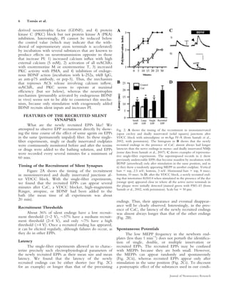 6       `
     Tomas et al.

derived neurotrophic factor (GDNF); and 4) protein
kinase C (PKC) block but not protein kinase A (PKA)
inhibition. Interestingly, PI cannot be reduced below
the control value (which may indicate that the with-
drawal of supernumerary axon terminals is accelerated)
by incubation with several substances that are known to
produce effects on neurotransmission opposite to those
that increase PI: 1) increased calcium inﬂux with high
external calcium (5 mM), 2) activation of all mAChRs
with oxotremorine M or oxotremorine T, 3) increased
PKC activity with PMA, and 4) inhibition of endoge-
nous BDNF action (incubation with k-252a, trkB IgG,
an anti-p75 antibody, or pep-5). Thus, the mechanism
that represses ACh release involving calcium inﬂow,
mAChR, and PKC seems to operate at maximal
efﬁciency (but see below), whereas the neurotrophin
mechanism (presumibly activated by endogenous BDNF
in vivo) seems not to be able to counteract this mecha-
nism, because only stimulation with exogenously added
BDNF recruits silent inputs and increases PI.
    FEATURES OF THE RECRUITED SILENT
                      SYNAPSES
      What are the newly recruited EPPs like? We
attempted to observe EPP recruitment directly by show-         Fig. 2. A shows the timing of the recruitment in monoinnervated
ing the time course of the effect of some agents on EPPs       (open circles) and dually innervated (solid squares) junctions after
in the same (permanently impaled) ﬁber. In these single-       VDCC block with nitrendipine or x-Aga IV-A (from Santafe et al.,
ﬁber experiments, singly or dually innervated endplates        2002, with permission). The histogram in B shows that the newly
were continuously monitored before and after the toxins        recruited endings in the presence of CaC almost always had longer
or drugs were added to the bathing solution, and EPPs          latencies than the nerve endings in mono- and dually innervated NMJs
were recorded every several minutes for a minimum of           (some data from Santafe et al., 2007). C shows examples of representa-
                                                               tive single-ﬁber experiments. The superimposed records in i) show
60 min.                                                        previously undetectable EPPs that become manifest by incubation with
                                                               BDNF (arrowhead) only after stimulation in the same position, and in
Timing of the Recruitment of Silent Synapses                   ii) they show a randomly appearing MEPP in another endplate. Vertical
     Figure 2A shows the timing of the recruitment             bars 5 top, 2.5 mV; bottom, 3 mV. Horizontal bars 5 top, 8 msec;
in monoinnervated and dually innervated junctions af-          bottom, 10 msec. In D, after the VDCC block, a newly recruited end-
ter VDCC block. With the single-ﬁber experiments,              ing that interiorizes RH414 when stimulated in the presence of the dye
we found that the recruited EPPs can appear several            (orange spot) appeared close to where all the active nerve terminals in
                                                               the plaque were initially detected (stained green with FM1-43 (from
minutes after CaC, a VDCC blocker, high-magnesium              Santafe et al., 2002, with permission). Scale bar 5 50 lm.
Ringer, atropine, or BDNF had been added to the
bath (the mean time of all experiments was about
20 min).                                                       endings. Thus, their appearance and eventual disappear-
Recruitment Thresholds                                         ance will be clearly observed. Interestingly, in the pres-
                                                               ence of CaC, the latency of the newly recruited endings
      About 36% of silent endings have a low recruit-          was almost always longer than that of the other endings
ment threshold (1–2 V), 57% have a medium recruit-            (Fig. 2B).
ment threshold (2–4 V), and only 7% have a high
threshold (4 V). Once a recruited ending has appeared,
it can be elicited regularly, although failures do occur, as   Spontaneous Potentials
they do in other EPPs.                                               The low MEPP frequency in the newborn end-
                                                               plates (less than 1 min–1) does not perturb the identiﬁca-
Latency                                                        tion of single, double, or multiple innervation or
      The single-ﬁber experiments allowed us to charac-        recruited EPPs. The recruited EPPs may be confused
terize precisely such electrophysiological parameters of       with MEPPs because they are both small. However,
the newly recruited EPPs as their mean size and mean           the MEPPs can appear randomly and spontaneously
latency. We found that the latency of the newly                (Fig. 2Cii), whereas recruited EPPs appear only after
recruited endings can be either shorter (see Fig. 2Ci          stimulation in the same position (Fig. 2Ci). To discount
for an example) or longer than that of the preexisting         a postsynaptic effect of the substances used in our condi-

                                                                                                       Journal of Neuroscience Research
 