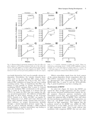 Silent Synapses During Development             9




Fig. 4. Pharmacological experiments designed to show the effect of a      ment, n 5 5 muscles, minimum 15 ﬁbers per muscle. Values are
given substance on PI during incubation with one of the other sub-        expressed as a percentage (mean 6 SEM) of EPP amplitude at time 0
stances. Thus, the additive or occlusive effects between these substan-   (control). *P  0.05 with respect to control values (T 5 0 min). #P
ces can be studied. Most data are from Santafe et al. (2009). The data     0.05 with respect to T 5 60 min. Each line represents three to six
shown in F have not been previously published. For this new experi-       single-ﬁber experiments obtained from different muscles.


was ﬁnally blocked by CaC) may be partially calcium in-                         Which extracellular signals from the local context
dependent. Nevertheless, the calcium channels them-                       of the activity-dependent axonal competition affect the
selves seem to be an important PKC target, because,                       PKC-VDCC mechanism in the synaptic contacts that
when they are blocked (see P/Q in Fig. 4D), CaC-                          are disconnected? Our experiments indicate that the
induced PKC inhibition no longer has any nerve ending                     BDNF-trkB (Fig. 5, point 5) and the ACh-mAChRs
recruiting activity. Thus, we hypothesize that PKC con-                   (Fig. 5, point 6) pathways may have a leading role.
tributes at least partially to synapse disconnection by
modulating VDCC operation (Fig. 5, point 1). Calcium                      Involvement of BDNF
entry also modulates PKC involvement in the pathway                             As with CaC, Figure 4G shows that BDNF can
(Fig. 5, point 2). In this regard, it is known that the                   extend the effect of high magnesium and also consider-
VDCCs are targets for PKCs that may regulate the efﬁ-                     ably increase functional polyinnervation (mainly the tri-
cacy of calcium permeation. The inﬂuence of both PKC                      ple synapses). However, previous incubation with
and PKA on ACh release depends on the P/Q-type                            nitrendipine or CaC (Fig. 4H,I, respectively) completely
VDCC (Santafe et al., 2006), and PKC can regulate N-                      impairs any additional effect of BDNF. Thus, only when
type (Yokoyama et al., 2005) and L-type (Arenson and                      the ﬁrst incubation is performed in high magnesium can
Evans, 2001) channels. Finally, calcium entry may have a                  both CaC and BDNF extend recruitment above that
direct inﬂuence on synapse disconnection, probably                        observed in high magnesium. This suggests that the
through a calcium-dependent protease system (Fig. 5,                      pathway turned on by BDNF may inhibit the PKC
point 3), and/or indirectly through a cPKC-mediated                       mechanism or at least nPKC, because CaC seems to do
phosphorylation in another intermediary step leading to                   in high magnesium media. These results indicate that
synaptic withdrawal (Fig. 5, point 4).                                    incubation with exogenous BDNF (but not any other

Journal of Neuroscience Research
 