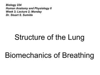 Biology 224
Human Anatomy and Physiology II
Week 3; Lecture 2; Monday
Dr. Stuart S. Sumida
Structure of the Lung
Biomechanics of Breathing
 