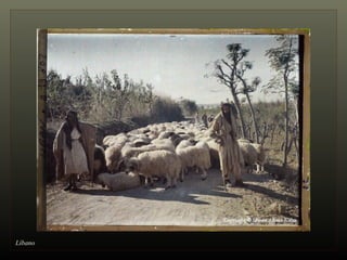 Líbano 