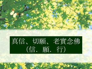 真信、切願、老實念佛（信．願．行） 