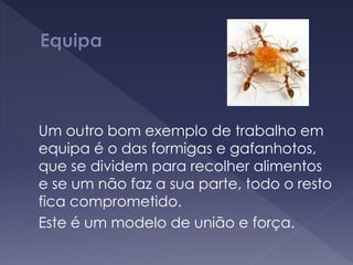 Um outro bom exemplo de trabalho em
equipa é o das formigas e gafanhotos,
que se dividem para recolher alimentos
e se um não faz a sua parte, todo o resto
fica comprometido.
 Este é um modelo de união e força.
 