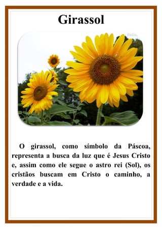 Girassol
O girassol, como símbolo da Páscoa,
representa a busca da luz que é Jesus Cristo
e, assim como ele segue o astro rei (Sol), os
cristãos buscam em Cristo o caminho, a
verdade e a vida.
 