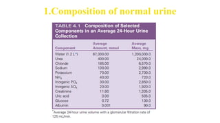 Urin Composition Analysis of Urine and related symptoms.pptx