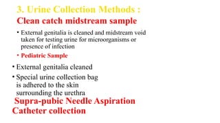 Analysis of Urine and related symptoms.pptx