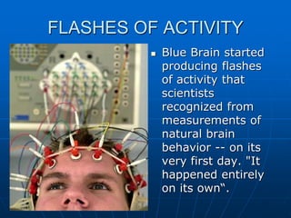 FLASHES OF ACTIVITY
 Blue Brain started
producing flashes
of activity that
scientists
recognized from
measurements of
natural brain
behavior -- on its
very first day. "It
happened entirely
on its own“.
 