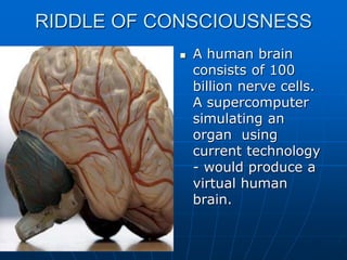 RIDDLE OF CONSCIOUSNESS
 A human brain
consists of 100
billion nerve cells.
A supercomputer
simulating an
organ using
current technology
- would produce a
virtual human
brain.
 