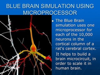 BLUE BRAIN SIMULATION USING
MICROPROCESSOR
 The Blue Brain
simulation uses one
microprocessor for
each of the 10,000
neurons in the
cortical column of a
rat's cerebral cortex.
It helps to build a
brain microcircuit, in
order to scale it in
human brain.
 