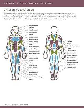 6 PHYSICAL ACTIVITY PRE-ASSESSMENT
P H Y S I C A L A C T I V I T Y P R E - A S S E S S M E N T
Trapezius
Deltoid
Rhomboideus major
Triceps
Latissimus dorsi
Gluteus medius
Gluteus maximus
Biceps femoris
Semitendinosus
Semimembranosus
Gastrocnemuis
Peroneus brevis
Masseter
Orbicularis oris
Sternomastoid
Deltoid
Pectoralis major
Latissimus dorsi
Serratus anterior
Biceps
Rectus abdominis
Brachioradialis
Flexor carpi radialis
Tensor fasciae latae
Pectineus
Adductor longus
Gracilis
Sartorius
Rectus femoris
Vastus lateralis
Vastus medialis
Peroneus longus
Tibialis anterior
Extensor digitorum longus
Soleus
STRETCHING EXERCISES
The muscular system is an organ system consisting of skeletal, smooth, and cardiac muscles. It permits movement of the
body, maintains posture, and circulates blood throughout the body. The muscular system in vertebrates is controlled through
the nervous system, although some muscles (such as the cardiac muscle) can be completely autonomous. Together with the
skeletal system it forms the musculoskeletal system, which is responsible for movement of the human body.
Orbicularis aculi
 