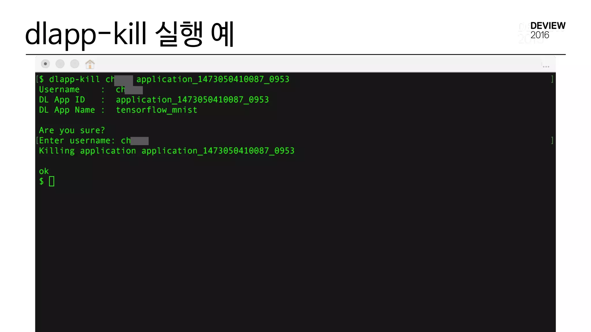 dlapp-kill 실행 예
 