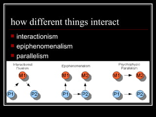 how different things interact interactionism epiphenomenalism parallelism 