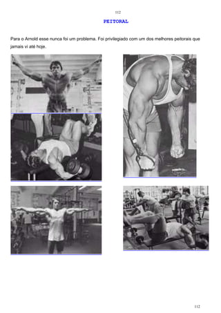 112
112
PEITORAL
Para o Arnold esse nunca foi um problema. Foi privilegiado com um dos melhores peitorais que
jamais vi até hoje.
13H
14H
15H
16H
17H
 