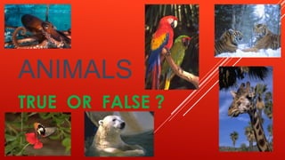 ANIMALS
TRUE OR FALSE ?
 