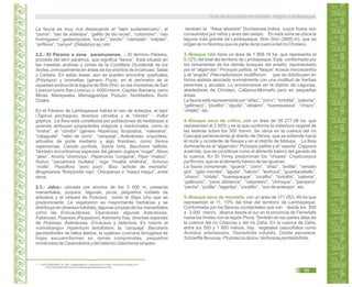 La fauna es muy rica destacando el “tapir sudamericano”, el
“puma”, “oso de anteojos”, “gallito de las rocas”, “cotomono”, “oso
hormiguero”, gasterópodos, “tucán”, “perdiz”, “ciempiés”, “milpiés”,
“anfibios”, “canyul” (Didelphys sp.) etc.
2.2.- El Páramo o zona paramunense. El término Páramo,13
procede del latín paramus, que significa “llanos”. Está situado en
las mesetas andinas y cimas de la Cordillera Occidental de los
Andes, principalmente en áreas de los distritos de Incahuasi, Salas
y Cañaris. En estas áreas, aún se pueden encontrar queñuales
(Polylepis) y bromelias (género Puya), en el perímetro de la
oquedad andina de la laguna de Shin Shin, en las montañas de San
Lorenzo (cerro San Lorenzo )– 4000 msnm, Capitán Samana, cerro
Minas, Maraywaka, Mamagpampa, Pozuzo, Tembladera, Rumi
Chaka.
En el Páramo de Lambayeque habita el oso de anteojos, el tapir
(Tapirus pinchaque), diversos cérvidos y el “cóndor” - Vultur
griphus. La flora está constituida por poblaciones de herbáceas a
quienes atribuyen propiedades mágicas y medicinales, como la
“misha”, el “cóndor” (género Huperzia), licopodios, “valeriana”,
“calaguala”, “rabo de zorro”, “carqueja”, Asteráceas, orquídeas,
arbustos de porte mediano y algo frondoso, como Senna
cajamarcae, Canuta pyrifolia, Salvia hirta, Baccharis latifolia.
También encontramos especies del género Juglans “nogal”, Alnus
“aliso”, Anona “chirimoya”, Peperomia “congona”, Piper “matico”,
Rubus “zarzamora mullaka”, Inga “Huaba shilimba”, Schinus
“molle”, Passiflora “poro poro”, Bixa “achote de montaña”
Brugmansia “floripondio rojo”, Oreopanax o “maqui maqui”, entre
otros.
2.3.- Jalca.- ubicada por encima de los 3 000 m, presenta
manantiales, puquios, lagunas, picos, pequeños rodales de
arbustos y el césped de Poáceas como el Stipa ichu que es
predominante. La vegetación es mayormente herbácea y se
distribuye en diversos hábitats, algunas propias de los manantiales
como las Eriocauláceas, Ciperáceas, algunas Asteráceas,
Fabáceas, Poáceas (Paspalum).Asimismo hay diversas especies
de Poáceas, Asteráceas, Ericáceas y helechos. Es notorio el
«chinshango» Hypericum laricifolium, la “carqueja” Baccharis
genistelloides de tallos alados, la «palma» Loricaria ferruginea de
hojas escuamiformes en ramas comprimidas, pequeños
montículos de Cavendishia y del helecho Gleichenia simplex;
también la “fresa silvestre” Duchesnea indica, cuyos frutos son
consumidos por niños y aves del campo. En esta zona se ubica la
laguna más grande de Lambayeque, Shin Shin (3600 m), que da
origen al río Nivintos que es parte de la cuenca del río Chotano.
3.-Bosque ralo tiene un área de 1 868,16 ha, que representa el
0,12% del total del territorio de Lambayeque. Está conformado por
los remanentes de los demás bosques del antaño, representado
por el “algarrobo” Prosopis pallida, el “faique” Acacia macracantha
y el “angolo” Pitecoelloobium multiflorum que se distribuyen en
forma aislada asociada normalmente con una multitud de hierbas
perennes y anuales. Lo encontramos en el distrito de Lagunas,
alrededores de Chiclayo, Callanca-Monsefú pero en pequeñas
áreas.
La fauna está representada por “añaz”, “zorro”; “tortolita”, “paloma”,
“gallinazo”, “picaflor”, “águila”, “abejero”, “huerequeque”, “chisco”,
“chilalo”, etc.
4.-Bosque seco de colina, con un área de 39 277,08 ha, que
representan el 2,55% y es la que conforma la cobertura vegetal de
las laderas sobre los 300 msnm. Se ubica en la cuenca del río
Cascajal perteneciente al distrito de Olmos, que se extiende hacia
el norte y occidente de Ñaupe y en el distrito de Motupe. La flora
dominante es el “algarrobo” Prosopis pallida y el “zapote” Capparis
scabrida, que se constituye como el alimento básico del ganado de
la cuenca. En El Virrey predominan los “chopes” Cryptocarpus
pyriformis, que es el alimento básico de las iguanas.
La fauna comprende: “iguana”, “zorro”, “añaz”, “ardilla”, “venado
gris”, “gato montés”, “águila”, “halcón”, “lechuza”, “guardacaballo”,
“chisco”, “chilalo”, “huerequeque”, “picaflor”, “tortolita”, “paloma”,
“gallinazo”, “pava aliblanca”, “carpintero”, “chiroque”, “pampero”
“peche”, “putilla”, “lagartija”, “coralillo”, “oso de anteojos”, etc.
5.-Bosque seco de montaña, con un área de 171 053, 99 ha que
representan el 11, 10% del total del territorio de Lambayeque.
Conformada por los flancos occidentales que van desde los 500
a 3 000 msnm, abarca desde el sur en la provincia de Ferreñafe
hasta los límites con la región Piura. También en las partes altas de
la cuenca del río Chancay y del río Zaña. En la cuenca de Zaña,
entre los 500 y 1 800 metros, hay vegetales caducifolios como
Acnistus arborescens, Tournefortia volubilis, Cordia peruviana,
Schoeffia flexuosa, Phytolacca dioica, Verbesina pentalobifolia,
13. LÓPEZ MESONES, M. 2006. “Biogeografía de Lambayeque” En línea. Consulta 02 octubre 2011.
< http://www.boletindenewyork.com/biogeografialambayeque.htm>
Guía de Educación Ambiental - Región Lambayeque
99
 