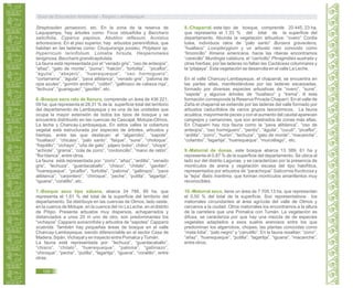 Streptosolen jamaesoni, etc. En la zona de la reserva de
Laquipampa, hay árboles como: Ficus obtusifolia y Baccharis
salicifolia, Cyperus papinus, Abutilon reflexum, Acnistus
arborescens. En el piso superior, hay arbustos perennifolios, que
habitan en las laderas como: Chuquiranga jussieu, Polylepis sp,
Hyperricum laricifolium, Lomatia hirsuta, Hesperomeles
laniginosa, Baccharis grandicapitulata.
La fauna está representada por el “venado gris”, “oso de anteojos”,
“añaz”, “gato de monte”, “puma”; “halcón”, “tortolita”, “picaflor”,
“águila”, “abejero”, “huerequeque”, “oso hormiguero”;
“cortarrama”, “águila”, “pava aliblanca”, “venado gris”, “paloma de
ojos azules”, “gorrión andino”, “colibrí”, “gallinazo de cabeza roja”,
“lechuza”, “guaraguao”, “gavilán”, etc.
6.-Bosque seco ralo de llanura, comprende un área de 436 221,
09 ha; que representa el 28,31 % de la superficie total del territorio
del departamento de Lambayeque y es una de las unidades que
ocupa la mayor extensión de todos los tipos de bosque y se
encuentra distribuido en las cuencas de Cascajal, Motupe-Olmos,
La leche y Chancay-Lambayeque. En estos valles la cobertura
vegetal está estructurada por especies de árboles, arbustos y
hierbas, entre las que destacan: el “algarrobo”, “sapote”,
“hualtaco”, “chicáss”, “palo santo”, “faique”, “sune”, “choloque”,
“frejolillo”, “vichayo”, “uña de gato”, pájaro bobo”, chilco”, “chope”,
“achiote”, “grama”, “cola de zorro”, “cordoncillo”, “mano de ratón”,
“flor blanca”, entre otros.
La fauna está representada por: “zorro”, “añaz”, “ardilla”, “venado
gris”, “lechuza”, “guardacaballo”, “chisco”, “chilalo”, “gavilán”,
“huerequeque”, “picaflor”, “tortolita”, “paloma”, “gallinazo”, “pava
aliblanca”, “carpintero”, “chiroque”, “peche”, “putilla”, “lagartija”,
“iguana”, “coralillo”, etc.
7.-Bosque seco tipo sábana, abarca 24 788, 85 ha, que
representa el 1,61 % del total de la superficie del territorio del
departamento. Se distribuye en las cuencas de Olmos, lado oeste,
en la cuenca de Motupe, en la cuenca del río La Leche, en el distrito
de Pítipo. Presenta arbustos muy dispersos, achaparrados y
distanciados a unos 20 m uno de otro, son predominantes los
“vichayos” Capparis avicennfolia y arbustos de “sapotes” Capparis
scabrida. También hay pequeñas áreas de bosque en el valle
Chancay-Lambayeque, siendo diferenciable en el sector Casa de
Madera, Sipán, Vichayal y en trayecto entre Pomalca yTumán.
La fauna está representada por: “lechuza”, “guardacaballo”,
“chisco”, “chilalo”, “huerequeque”, “paloma”, “gallinazo”,
“chiroque”, “peche”, “putilla”, “lagartija”, “iguana”, “coralillo”, entre
otras.
8.-Chaparral, este tipo de bosque, comprende 20 445, 23 ha,
que representa el 1,33 % del total de la superficie del
departamento. Abunda la vegetación arbustiva: “overo” Cordia
lutea, individuos ralos de “palo santo” Bursera graveolens,
“hualtaco” Loxopterygium y un arbusto raro conocido como
“limoncillo” Ximena americana, hacia las riberas encontramos
“cerecillo” Muntingia calabura, el “carricillo” Phragmities australis y
otras hierbas; por las laderas no faltan las Cactáceas columnares y
la “pitajaya”. Esta vegetación se desarrolla en el valle La Leche.
En el valle Chancay-Lambayeque, el chaparral, se encuentra en
las partes altas, manifestándose por las laderas escarpadas,
formado por diversas especies arbustivas de “overo”, “sune”,
“sapote” y algunos árboles de “hualtaco” y “trema”. A esta
formación corresponde la Reserva Privada Chaparrí. En el valle de
Zaña el chaparral se extiende por las laderas del valle formado por
arbustos caducifolios de varios grupos taxonómicos. La fauna
acuática, mayormente peces y con el aumento del caudal aparecen
cangrejos y camarones, que son arrastrados de zonas más altas.
En Chaparrí hay rica fauna como la “pava aliblanca”, “oso de
anteojos”, “oso hormiguero”, “perdiz”, “águila”, “cuculí”, “picaflor”,
“ardilla”, “zorro”, “hurón”, “lechuza”, “gato de monte”, “macanche”,
“colambo”, “lagartija”, “huerequeque”, “murciélago”, etc.
9.-Matorral de dunas, este bosque abarca 13 389, 61 ha y
representa el 0,87 % de la superficie del departamento. Se ubica al
lado sur del distrito Lagunas, y se caracterizan por la presencia de
montículos de arena y vegetación escasa del tipo halofítica,
representados por arbustos de “parachique” Salicornia fructicosa y
la “lejía” Batis maritima, que forman montículos amarillentos muy
reconocibles.
10.-Matorral seco, tiene un área de 7 709,13 ha, que representan
el 0,50 % del total de la superficie. Son representativos los
matorrales circundantes al área agrícola del valle de Olmos y
cercanos a la ciudad. Otros matorrales los encontramos a la altura
de la carretera que une Pomalca con Tumán. La vegetación es
difusa, se caracteriza por que hay una mezcla de de especies
vegetales adaptados a esos suelos arenosos entre los que
predominan los algarrobos, chopes, las plantas conocidas como
“mata loba”, “palo negro” y “canutillo”. En la fauna resaltan: “zorro”,
“añaz”, “huerequeque”, “putilla”, “lagartija”, “iguana”, “macanche”,
entre otros.
Guía de Educación Ambiental - Región Lambayeque
100
 