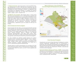 11.-Matorral húmedo, este bosque tiene un área de 30 023,19 ha,
que representan el 1,95 % del total de la superficie total del
departamento de Lambayeque. Está ubicado en las partes altas de
los distritos de Olmos, Incahuasi y Cañaris. La vegetación está
conformado por pequeños arbustos y el césped de Poaceas
predominando el Stipa ichu. Su fauna está representado por:
“sajino”, “perdiz”, “zorro”, “vizcacha”, etc.
12.-Matorral sub húmedo, este bosque tiene un área de 63
284,18 ha que representa el 4,11 % del total de la superficie del
departamento de Lambayeque. Se encuentran colindantes con los
límites de la región Piura y la región Cajamarca, es decir en las
partes altas de los distritos de Olmos, Cañaris e Incahuasi. La
vegetación es escasa y es del tipo arbustiva, las especies
características son las Mirtaceas, Lauareaces, Asteráceas,
Phytolacaceas y Sapotaceas que son propios de este tipo de
bosque.
Otras Unidades de Cobertura Vegetal.
Existen también 451 303, 36 ha; que representa el 29,29 % del total
de la superficie del departamento de Lambayeque de tierras sin
ninguna vegetación o que, es escasa (sólo en épocas de lluvias).
Se ubican en las partes bajas de los valles, en los distritos de
Olmos, Jayanca, Mórrope, Reque y Lagunas. Las grandes
empresas agroindustriales como Beta, Arena Verde, Naxa,
Gandules, Cerro Prieto, etc. están incorporando estas tierras para
uso agrícola a través de pozos tubulares y proyectos de irrigación.
En otras unidades de cobertura vegetal destacan los cultivos
anuales de “arroz”, hortalizas, frejoles, “algodón”, “maíz”, “tabaco”,
frutales rastreros como la “sandía”, y “melón”; y en menor escala
“trigo”, “cebada”, “papa”, “olluco” y otros que son cultivados en los
distritos Incahuasi y Cañaris. Representan 161 319,03 ha o
10,47% del total de la superficie departamental.
También están los cultivos permanentes con una estancia de más
de dos años en el campo como la “caña de azúcar” y frutales; tienen
un área de 65 769,46 ha; que es el 4,27 % de la superficie del
departamento.
Mapa de Bosques y otras Unidades de
Cobertura Vegetal del Departamento Lambayeque.
Áreas Naturales Protegidas
Actualmente son tres las Áreas Naturales Protegidas de carácter
nacional legalmente establecidas para su conservación y
protección: dos conducidas directamente por el Estado a través del
Servicio Nacional de Áreas Naturales Protegidas-SERNANP, y una
(Chaparrí) como Área de Conservación Privada, conducida por
comuneros de Chongoyape.
Santuario Histórico Bosque de Pómac. (SHBP). Se encuentra
ubicado en la cuenca baja del río La Leche, abarcando territorio de
las Provincias de Ferreñafe y Lambayeque. Allí encontramos
nuestro patrimonio natural y cultural con una belleza paisajística
única. Comprende 5 887, 38 hectáreas.
Guía de Educación Ambiental - Región Lambayeque
101
Fuente: GRL.2010. Mapa preliminar. En: “Estudio Cobertura Vegetal del departamento de Lambayeque para el Proceso
de Ordenamiento Territorial”. < http://ot.regionlambayeque.gob.pe/?pass=Mg==>
 