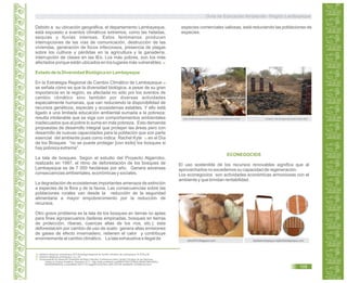 Debido a su ubicación geográfica, el departamento Lambayeque,
está expuesto a eventos climáticos extremos, como las heladas,
sequías y lluvias intensas. Estos fenómenos producen
interrupciones de las vías de comunicación, destrucción de las
viviendas, generación de focos infecciosos, presencia de plagas
sobre los cultivos y pérdidas en la agricultura y la ganadería,
interrupción de clases en las IEs. Los más pobres, son los más
afectados porque están ubicados en los lugares más vulnerables.19
Estado de la Diversidad Biológica en Lambayeque
En la Estrategia Regional de Cambio Climático de Lambayeque 20
se señala cómo es que la diversidad biológica, a pesar de su gran
importancia en la región, es afectada no sólo por los eventos de
cambio climático sino también por diversas actividades
especialmente humanas, que van reduciendo la disponibilidad de
recursos genéticos, especies y ecosistemas estables. Y ello está
ligado a una limitada educación ambiental sumada a la pobreza;
resulta intolerable que se siga con comportamientos ambientales
inadecuados que al pobre lo sume en más pobreza. Esto demanda
propuestas de desarrollo integral que protejan las áreas pero con
desarrollo de nuevas capacidades para la población que son parte
esencial del ambiente pues como indica Rachel Kyte en el Día21
de los Bosques “no se puede proteger [con éxito] los bosques si
hay pobreza extrema”.
La tala de bosques. Según el estudio del Proyecto Algarrobo,
realizado en 1997, el ritmo de deforestación de los bosques de
Lambayeque es de 7 000 hectáreas por año. Genera adversas
consecuencias ambientales, económicas y sociales.
La degradación de ecosistemas importantes amenaza de extinción
a especies de la flora y de la fauna. Las consecuencias sobre las
poblaciones rurales van desde la reducción de la seguridad
alimentaria a mayor empobrecimiento por la reducción de
recursos.
Otro grave problema es la tala de los bosques en tierras no aptas
para fines agropecuarios (laderas empinadas, bosques en tierras
de protección, riberas, cuencas altas de los ríos, etc.); esta
deforestación por cambio de uso de suelo genera altas emisiones
de gases de efecto invernadero, retienen el calor y contribuye
enormemente al cambio climático. La tala exhaustiva e ilegal de
ECONEGOCIOS
El uso sostenible de los recursos renovables significa que al
aprovecharlos no excedemos su capacidad de regeneración.
Los econegocios son actividades económicas armoniosas con el
ambiente y que brindan rentabilidad.
19. Gobierno Regional Lambayeque.2010.Estrategia Regional de Cambio Climático de Lambayeque. Al 2030.p 84
Gobierno Regional Lambayeque. Loc. Cit.20.
Vicepresidenta de Desarrollo Sostenible del Banco Mundial. Conferencia sobre Cambio Climático de las Naciones21.
Unidas en Durban-Sudáfrica. Diciembre 2011. <http://web.worldbank.org/WBSITE/EXTERNAL/BANCOMUNDIAL/
NEWSSPANISH/0,,contentMDK:23071174~pagePK:64257043~piPK:437376~theSitePK:1074568,00.html>
http://reddeenergia.com/mostramoticia.php?idnoticia=21162 El Olmos: Tala de algarrobos para carbón.2011
especies comerciales valiosas, está reduciendo las poblaciones de
especies.
wilx1974.blogspot.com tejidolambayeque.tejidolambayeque.com
Guía de Educación Ambiental - Región Lambayeque
109
 