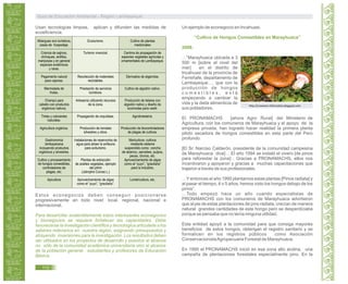 Usan tecnologías limpias, aplican y difunden las medidas de
ecoeficiencia.
Estos econegocios deben conseguir posicionarse
progresivamente en todo nivel: local, regional, nacional e
internacional.
Para desarrollar sosteniblemente estos interesantes econegocios
y bionegocios se requiere fortalecer las capacidades. Debe
favorecerse la investigación científica y tecnológica articulada a los
saberes milenarios en nuestra región, asignando presupuestos y
atrayendo inversiones para la investigación. Los resultados deben
ser utilizados en los proyectos de desarrollo y puestos al alcance
no sólo de la comunidad académica universitaria sino al alcance
de la población general, estudiantes y profesores de Educación
Básica.
Un ejemplo de econegocio en Incahuasi.
“Cultivo de Hongos Comestibles en Marayhuaca”
2008:
…”Marayhuaca ubicada a 3
500 m [sobre el nivel del
mar] en el distrito de
Incahuasi de la provincia de
Ferreñafe, departamento de
Lambayeque…. que con la
producción de hongos
c o m e s t i b l e s , e s t á
empezando a cambiar la
vida y la dieta alimenticia de
sus pobladores.
El PRONAMACHS [ahora Agro Rural] del Ministerio de
Agricultura, con los comuneros de Marayhuaca y el apoyo de la
empresa privada, han logrado hacer realidad la primera planta
piloto secadora de hongos comestibles en esta parte del Perú
profundo.
[El Sr. Narciso Calderón, presidente de la comunidad campesina
de Marayhuaca dice] …El año 1994 se instaló el vivero [de pinos
para reforestar la zona] . Gracias a PRONAMACHS, ellos nos
incentivaron y apoyaron y gracias a muchas capacitaciones que
trajeron a través de sus profesionales.
…Y entonces el año 1995 plantamos estas plantas [Pinos radiata] y
al pasar el tiempo, 4 o 5 años, hemos visto los hongos debajo de los
pinos”.
…Todo empezó hace un año cuando especialistas de
PRONAMACHS con los comuneros de Marayhuaca advirtieron
que al pie de estas plantaciones de pino radiata, crecían de manera
natural grandes cantidades de este hongo pero se desperdiciaba
porque se pensaba que no tenía ninguna utilidad.
Esta entidad apoyó a la comunidad para que consiga mayores
beneficios de estos hongos, obtengan el registro sanitario y se
formalicen en los registros públicos como Asociación
ConservacionistaAgropecuaria Forestal de Marayhuaca.
En 1995 el PRONAMACHS inició en esa zona alto andina, una
campaña de plantaciones forestales especialmente pino. En la
http://conexion‐informativa.blogspot.com
Guía de Educación Ambiental - Región Lambayeque
110
Cultivo de plantas
medicinales
Centros de propagación de
especies vegetales agrícolas y
ornamentales de Lambayeque.
Derivados de algarroba.
Cultivo de algodón nativo.
Producción de telares con
algodón nativo y diseño de
ecomodas para vestir.
Agroforestería.
Producción de biocontroladores
de plagas de cultivos.
Maricultura: cultivos
mediante sistema
suspendido como concha
de abanico, percebes, pulpos,
peces, choros, etc.
Aprovechamiento de algas
como el “yuyo”, “gracilaria”
para la industria.
Lombricultura, etc.
Ecoturismo.
Turismo vivencial.
Recolección de materiales
reciclables.
Prestación de servicios
turísticos.
Artesanía utilizando recursos
de la zona.
Propagación de orquídeas.
Producción de tomates
silvestres y otros.
Instalaciones de reservorios de
agua para atraer la avifauna
para aviturismo.
Plantas de extracción
de aceites vegetales, ejemplo
del piñón
(Jatropha Curcas L.)
Aprovechamiento de algas
como el “yuyo”, “gracilaria”.
Albergues eco turísticos,
casas de hospedaje.
Crianza de sajinos,
chiroques, ardillas,
mariposas y en general
especies endémicas
y raras.
Pegamento natural
para cajones.
Mermelada de
frutas.
Champú para
cabello con productos
orgánicos nativos.
Tintes y colorantes
naturales.
Agricultura orgánica.
Gastronomía
lambayecana
incluyendo productos
orgánicos y silvestres.
Cultivo y procesamiento
de hongos comestibles,
controladores de
plagas, etc.
Apicultura
 