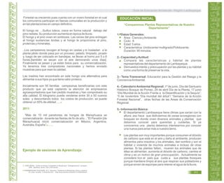 Forestal va creciendo pues cuenta con un vivero forestal en el cual
los comuneros participan en faenas comunales en la producción y
en las plantaciones en campo definitivo.
El hongo es …Suillus luteos, crece en forma natural debajo del
pino radiata. Su producción aumenta en época de lluvia.
El hongo y el pino viven en simbiosis. Las raíces del pino entregan
al hongo sustancias ácidas y el hongo le proporciona al pino,
proteínas y minerales.
..Los campesinos recogen al hongo en cestas y lo trasladan a la
planta piloto donde pasa por un proceso: pelado, limpiado, picado
y, luego de ser colocado en bandejas, se llevan al horno por 5 o 6
horas.[también se secan con el aire demorando unos días].
Finalmente se pesan y ya están listos para su comercialización.
Ya tenemos tres compradores nacionales y hemos enviado
muestras para que vean la calidad.
Las madres han encontrado en este hongo una alternativa para
alimentar a sus hijos ya que tiene valor proteico.
Inicialmente son 50 familias campesinas beneficiarias con este
producto que ya está captando la atención de empresarios
agroexportadores que han pedido muestras y han comprobado su
alta calidad. El kilogramo puede venderse entre 30 a 50 nuevos
soles y descontando todos los costos de producción, se puede
obtener un 50% de utilidad…. 22
2011:
“Más de 10 mil panetones de hongos de Marayhuaca se
comercializarán durante las fiestas de fin de año…“El Panetón [de
Marayhuaca] inició comercialización en México, Argentina,
Australia, España” .…..23
22. AGRO RURAL. “Cultivo de Hongos Comestibles en Marayhuaca” [Videograbación]1. pnmsperu.
2008. AgroRural, sonoro, color, 6,29 minutos.
“Comparemos Plantas Representativas de Nuestro
Departamento”
1.- Datos Generales:
Área: Ciencia yAmbiente
Ciclo: II
Edad: 5 años
Característica: Unidocente/ multigrado/Polidocente.
Duración: 90 minutos.
2.- Capacidad yActitud:
Compara las características y hábitat de plantas
representativas del departamento de Lambayeque.
Demuestra interés y preocupación por las plantas y su hábitat
como una forma de preservar la vida.
3.- Tema Transversal: Educación para la Gestión del Riesgo y la
ConcienciaAmbiental.
4.- Calendario Ambiental Regional: 1º de junio. Día del Santuario
Histórico Bosque de Pomac. 29 de abril Día de la Planta, 17 junio
“Día Mundial de la Acción Frente a la Desertificación y la Sequía”;
“5 de noviembre “Día mundial del árbol”/ “Semana de la Acción
Forestal Nacional”, otras fechas de las Áreas de Conservación
Regional.
5.- Información Básica:
El departamento Lambayeque tiene climas que varían con la
altura, eso hace que disfrutemos de varias ecoregiones con
bosques en donde viven diversos animales y plantas que
debemos conocer para quererlas y cuidarlas. Si ya
conocemos una planta debemos interesarnos por conocer
una nueva para amar más a nuestra tierra.
Las plantas son muy importantes porque consumen el dióxido
de carbono que está en el aire y daña el ambiente, producen
alimentos para nosotros y los animales, dan sombra y son el
hábitat o vivienda de muchos animales e incluso de otras
plantas. Si las plantas faltan, mueren los animales que de
ellas se alimentan, aumenta el dióxido de carbono, cambia el
clima y es un motivo de gran preocupación. Actualmente se
considera rico al país que cuida a sus plantas /bosques
porque mantiene limpio al aire que respiran sus pobladores y
porque sirven de esponjas para retener el agua de la lluvia.
PANAMERICANA TELEVISIÓN. 2011. Panorama. “Panetones de Marayhuaca: Ricos y nutritivos”23.
En Línea. Consulta: 12 diciembre 2011. <http://www.youtube.com/watch?v=zHkKin054u8>
EDUCACIÓN INICIAL
Ejemplo de sesiones de Aprendizaje:
Guía de Educación Ambiental - Región Lambayeque
111
 
