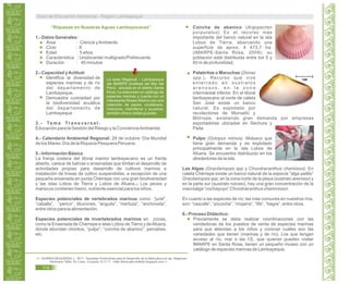 “Riquezas en Nuestras Aguas Lambayecanas”
1.- Datos Generales:
Área : Ciencia yAmbiente
Ciclo : II
Edad : 5 años
Característica : Unidocente/ multigrado/Polidocente.
Duración : 45 minutos
2.- Capacidad yActitud:
Identifica la diversidad de
especies marinas y de río
del departamento de
Lambayeque.
Demuestra curiosidad por
la biodiversidad acuática
del departamento de
Lambayeque
3 . - Te m a Tr a n s v e r s a l :
Educación para la Gestión del Riesgo y la ConcienciaAmbiental.
4.- Calendario Ambiental Regional: 29 de octubre: Día Mundial
de los Mares. Día de la Riqueza Pesquera Peruana.
5.- Información Básica
La franja costera del litoral marino lambayecano es un frente
abierto, carece de bahías o ensenadas que limitan el desarrollo de
actividades propias para desarrollo de cultivos marinos e
instalación de líneas de cultivo suspendidas, a excepción de una
pequeña ensenada en punta Chérrepe con una gran biodiversidad
y las islas Lobos de Tierra y Lobos de Afuera. Los peces y24
mariscos contienen hierro, nutriente esencial para los niños.
Especies potenciales de vertebrados marinos como: “jurel”,
“caballa”, “perico”, tiburones, “anguila”, “merluza”, “anchoveta”,
entre otros para la alimentación.
Especies potenciales de invertebrados marinos en zonas,
como la Ensenada de Chérrepe e islas Lobos de Tierra y deAfuera,
donde abundan choritos, “pulpo”, “concha de abanico”, percebes,
etc.
Concha de abanico (Argopecten
purpuratus) Es el recurso más
importante del banco natural en la isla
Lobos de Tierra, abarcando una
superficie de aprox. 4 473,7 ha.
(IMARPE-Santa Rosa, 2009); su
población está distribuida entre los 5 y
40 m de profundidad.
Palabritas o Maruchas (Donax
spp.). Recurso que vive
enterrado en sustratos
a r e n o s o s , e n l a z o n a
intermareal inferior. En el litoral
lambayecano al norte de caleta
San José existe un banco
natural. Es explotado por
recolectores de Monsefú y
Mórrope, existiendo gran demanda por empresas
exportadoras ubicadas en Sechura y
Paita.
Pulpo (Octopus mimus). Molusco que
tiene gran demanda y es explotado
principalmente en la isla Lobos de
Afuera. Se encuentra distribuido en los
alrededores de la isla.
Las Algas (Gracilariopsis spp y Chondracanthus chamissoi). En
caleta Chérrepe existe un banco natural de la especie “alga pelillo”
Gracilariopsis spp, en la zona norte de la playa (sustrato arenoso) y
en la parte sur (sustrato rocoso), hay una gran concentración de la
macroalga “cochayuyo” Chondracanthus chammissoi.
En cuanto a las especies de río: las más comunes en nuestros ríos,
son: “cascafe”, “pocoche”, “mojarra”, “life”, “bagre”, entre otros.
6.- Proceso Didáctico:
Previamente se debe realizar coordinaciones con las
vendedoras de los puestos de venta de especies marinas
para que atiendan a los niños y conocer cuáles son las
variedades que tienen (marinas y de río). Los que tengan
acceso al río, mar o las I.E. que quieran pueden visitar
IMARPE en Santa Rosa, tienen un pequeño museo con un
catálogo de especies marinas de Lambayeque.
La sede Regional – Lambayeque
del IMARPE (Instituto del Mar del
Perú) ubicada en el distrito Santa
Rosa; ha elaborado un catálogo de
especies marinas y cuenta con un
interesante Museo Marino con una
colección de peces, crustáceos,
moluscos, mamíferos y acuarios;
también ofrece visitas guiadas.
24. SUÁREZ MUGUERZA, L. 2011. “Apuestas Productivas para el Desarrollo de la Maricultura en las Regiones”
Seminario Taller. En Línea. Consulta 15:11:11. <http://ferrenafe-doblefe.blogspot.com/ >
Guía de Educación Ambiental - Región Lambayeque
114
 