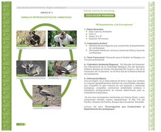 ANEXO N° 2
ANIMALES REPRESENTATIVOS DE LAMBAYEQUE.
Oso de anteojos
Venado Gris
Condor Real
Huerequeque
Pava Aliblanca
www.rpp.com http://enimal.org/ave‐de‐altos‐vuelos‐condor‐real/
en.craxperu.orghttp://zonaforo.meristation.com/foros/viewtopic.php?t=655861
darwinnet.org
“Mi Departamento y las Ecorregiones”
1.- Datos Generales:
Área: Ciencia yAmbiente
Ciclo: V
Grado: 5º y 6º
Duración: 90 minutos.
2.- Capacidad yActitud:
Identifica las ecorregiones que comprenden al departamento
de Lambayeque.
Demuestra interés por conocer y conservar la flora y fauna de
Lambayeque.
3.- Tema Transversal: Educación para la Gestión de Riesgos y la
ConcienciaAmbiental.
4.- Calendario Ambiental Regional: Día Mundial del Ambiente/
Día Internacional de la Diversidad Biológica/ Día del Santuario
Histórico Bosque de Pomac/ Día Mundial del Turismo y Día de la
Promoción del Ecoturismo en el Perú/ Día de la Reserva Natural
de Laquipampa.
5.- Información Básica:
Una ecorregión, es un área extensa de tierra o agua que contiene
un conjunto geográficamente distintivo de comunidades naturales
que comparten la gran mayoría de sus especies y dinámicas
ecológicas, comparten condiciones ambientales similares e
interactúan ecológicamente de manera determinante para su
subsistencia a largo plazo.
De las once ecorregiones clasificadas por Antonio Brack, cuatro
comprenden también nuestro departamento: El Mar Frio del
Pacifico, Desierto del Pacífico, Bosque Seco Ecuatorial, SelvaAlta.
Lectura del texto “Ecorregiones que Comprenden al
Departamento de Lambayeque”.
Guía de Educación Ambiental - Región Lambayeque
118
Ejemplo sesiones de aprendizaje:
EDUCACIÓN PRIMARIA
 