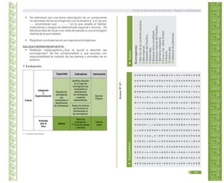 Se interviene con una breve descripción de un componente
no abordado de las ecorregiones con la dinámica “y si vas por
….. encontrarás que ………..” en la que resalta el hábitat,
costumbres y riesgos de determinada especie o recurso. Se
felicita la idea de hacer una visita de estudio a una ecorregión
distinta de la que habitan.
Registran conclusiones en su mapa de ecorregiones.
SALIDA/CIERRE/RESPUESTA:
Reflexión metacognitiva:¿Qué te ayudó a describir las
ecorregiones? Se les comprometerá a que asuman con
responsabilidad el cuidado de las plantas y animales de su
entorno.
7. Evaluación.
1.Marfriodelacorrienteperuana.
2.Martropical.
3.DesiertodelPacífico.
4.Selvabaja.
5.Bosquesecoecuatorial.
6.BosquetropicaldelPacifico.
7.Serraníaesteparia.
8.PunaylosaltosAndes.
9.Páramo.
10.Selvaalta.
11.Sabanadepalmeras.
Ecorregiones
AnexoN°01
Buscar:Ecopupiletras:
T* = práctica transversal.
Guía de Educación Ambiental - Región Lambayeque
121
Capacidad Indicadores Instrumento
Actitud
Describe las
ecorregiones
que
comprenden al
departamento
de Lambayeque.
Ejercicio
Práctico
Lista de
cotejo
Identifica ubicando
en el mapa las
ecorregiones que
comprenden al
departamento
de Lambayeque
y especies
representativas.
Explica los factores
que favorecen la
biodiversidad en
las ecorregiones.
Valora las
ecorregiones.
T* Cuida las plantas
y animales.
Indagación
y
Experimentación
Actitudes
ante el
Área
Criterio
 