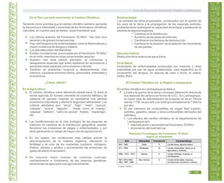 En el Perú ya está ocurriendo el Cambio Climático.
Teniendo como premisa que el cambio climático extremo aumenta
la frecuencia e intensidad o severidad de los fenómenos climáticos
naturales; en nuestro país se vienen experimentando que:
Los últimos eventos del Fenómeno “El Niño” han sido muy
severos y de graves consecuencias.
Hay reemergencia de enfermedades como la Bartonellosis y
mayor incidencia de dengue y malaria.
Los glaciales están derritiéndose.
Existen inundaciones, provocadas por el Fenómeno “El Niño”
en el norte, mientras en otras zonas existen sequías.
Nuestro mar está siendo afectado, al comenzar a
desaparecer especies que antes existieron en abundancia y
aumentan otras especies como el perico y tiburón.
También se presentan huaycos y deslizamientos más
intensos, causando enormes daños, personales, materiales y
económicos.
¿Cómo afecta?
En laAgricultura:
El cambio climático viene afectando desde hace 15 años al
sector agrícola. El número creciente de cosecha fallidas y de
cabezas de ganado muertas ya representa una pérdida
económica importante y afecta la seguridad alimentaria. Los
cultivos afectados son: “arroz”, “trigo”, “maíz”, “quinua”,
“cebada”, “avena”, “algodón”, frutas como el “mango”,
“papaya”, “plátano”, “caña de azúcar”, frijoles, “ espárrago”,
etc.
Las modificaciones en el ciclo biológico de las especies se
traducen en cambios en la distribución geográfica; pueden
favorecer las invasiones de plagas o enfermedades, y por
tanto generando un riesgo de mayor uso de agroquímicos.
En los suelos, las condiciones más cálidas activan la
descomposición de la materia orgánica, afectando la
fertilidad y el ciclo de los nutrientes (carbono, nitrógeno,
fósforo, potasio y azufre) y aumentando las emisiones de
gases de efecto invernadero.
Se requiere mejor manejo de nuestras cuencas,
mantenimiento e incremento de las reservas genéticas,
almacenaje de agua para uso agrícola eficiente.
Biodiversidad:
Los cambios de clima proyectados, combinados con el cambio de
los usos de la tierra y la propagación de las especies exóticas,
probablemente restringirán la capacidad de emigrar y acelerarán la
pérdida de algunas especies.
Cambios en la distribución.
Aumento de las tasas de extinción.
Cambios en los tiempos de reproducción.
Cambios en la duración de la estación de crecimiento
de las plantas.
Recurso hídrico:
Reducción de la reserva de agua dulce.
En la Salud:
Incremento de enfermedades producidas por vectores y otras
trasmitidas por uso de agua contaminada, caso específico es el
incremento del dengue, en épocas de calor y lluvia, el cólera,
EDAs, IRAs.
El Cambio Climático en la Región Lambayeque.
El cambio climático en Lambayeque se debe a:
La tala y la quema de la selva o bosques (liberación directa de
sus reservas de carbono en forma de CO2). En Lambayeque,
la mayor tasa de deforestación de bosques se da en Olmos
siendo 1 736, ha por año y en total aproximadamente 7 000 ha
por año.
El uso intensivo de combustibles de origen fósil (carbón,
petróleo, gasolina, diesel, y otros combustibles derivados del
petróleo).
 Los efectos del cambio climático en el departamento de
Lambayeque son:
Intensificación y severidad del Fenómeno “El Niño”.
Incremento del nivel del mar.
Resumen Cronológico del Fenómeno “El Niño”
según su Intensidad
Fuente: INDECI.
Guía de Educación Ambiental - Región Lambayeque
125
Año Intensidad Frecuencia Características
Lluvias leves, algunos daños.
Lluvias moderadas, daños en la
agricultura y vivienda.
Lluvias intensas, huaycos, e
inundaciones.
Lluvias torrenciales, huaycos,
inundaciones, aluviones y vientos.
9
10
5
4
Débil
Moderado
Intenso
Muy intenso
1847, 1963
1911, 1994
1858 - 1972 - 1973
1891,1925,1982,
1983, 1997, 1998
 