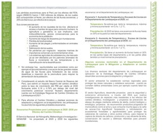 Las pérdidas económicas para el Perú por los efectos del FEN,
según (INDECI) fueron 1 000 millones de dólares, de los cuales
800 corresponden al Norte, por efectos de las lluvias excesivas, y
200 a la Sierra sur, por efectos de la sequía.
Sus consecuencias son:
El aumento de los caudales de los ríos afectaría el
acceso a fuentes de agua para consumo humano, la
agricultura y ganadería, lo que implicaría, casi
indiscutiblemente, graves consecuencias para la
economía de la población.
Aumento de riesgo de desastres por inundaciones.
Pérdida de biodiversidad.
Aumento de las plagas y enfermedades en animales
y cultivos.
Salinización de los suelos.
Se perderían por migración especies marinas de
importancia comercial y se incrementarìan otras.
Los sistemas agrícolas de subsistencia y de mercado
ya se ven afectados por los patrones anómalos de
lluvia e incremento de las temperaturas y la
intensificación de la desertificación.
Sin embargo hay oportunidades que considerar como por
ejemplo el aprovechamiento y encauce de las grandes masas
de agua de las lluvias para forestación de las zonas
desérticas e inserción de la piscicultura para mejorar la
alimentación de la población.
Considerando el estudio del Banco Central de Reserva del
Perú, que estimó un impacto negativo del cambio climático
sobre la tasa de crecimiento del PBI per cápita al 2030
fluctuante entre 0,18 y 0,78% por debajo del nivel del
crecimiento potencial nacional. Nuestro departamento
cuenta con la Estrategia Regional de Cambio Climático de
Lambayeque al 2021.
Para afrontar el Cambio Climático y plantear acciones de
adaptación y mitigación, en el departamento de Lambayeque
ha asumido los siguientes probables escenarios.
Escenarios Proyectados para Lambayeque al 2020 -2030 por
Efectos del Cambio Climático
El Servicio Nacional de Hidrografía, Meteorología e Investigación -
SENAHMI ha proyectado al 2020 y 2030 los siguientes
escenarios: en el departamento de Lambayeque; así:
Escenario 1:Aumento de Temperatura y Escasez de Lluvias en
el Departamento de Lambayeque al 2020; así:
Temperatura. Se estima que tanto la temperatura máxima
y mínima aumentarán en 0,4 a 1,2 °C.
Precipitación.Al 2020 se tiene una ausencia de lluvias hasta
un 30% en la parte sur este del departamento.
Escenario 2.- Aumento de Temperatura y Exceso de Lluvias
en el Departamento de Lambayeque al 2030; así:
Temperatura. Se estima que tanto la temperatura máxima
y mínima aumentarán en 0,4 a 1,2 °C.
Precipitación. Se tiene un aumento de lluvias hasta un 30%
en las partes bajas del departamento y en las partes altas
tendrán un nivel normal de precipitación.
Algunas acciones sectoriales en el Departamento de
Lambayeque para la Mitigación y Adaptación al cambio
climático.
Los diversos sectores del departamento de Lambayeque en
aplicación de la Estrategia Regional de Cambio Climático
desarrollan acciones para la adaptación y mitigación:
El sector ambiental ha establecido normas regionales para
proteger las áreas naturales y establece sanciones cuando se
cometen delitos ambientales como por ejemplo cuando talan los
bosques.
El sector Agricultura, desarrolla proyectos para la seguridad y
soberanía alimentaria, a través del INIA que realiza
investigaciones de especies más resistentes a los efectos del
cambio climático, investigación y proyectos de prevención de
ataque de plagas mediante sistema de alerta, control biológico y
entológico, proyectos de reconversión productiva progresiva de
monocultivos como el arroz y que consume mucha agua y la caña
de azúcar.Con AgroRural: forestación y reforestación en
ecosistemas forestales y agroforestales para proteger las
cabeceras de cuencas y otros puntos críticos, para mejorar la
captura de dióxido de carbono, producción y uso eficiente de leña;
conservación de cauces y defensas ribereñas para prevenir
inundaciones.
Guía de Educación Ambiental - Región Lambayeque
126
 