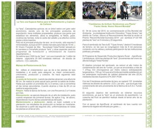 Guía de Educación Ambiental - Región Lambayeque
La Tara una Especie Nativa para la Reforestación y Captura
de Carbono
La “tara”, Caesalpinea spinosa, es un árbol nativo con gran valor
económico, siendo uno de los principales productos de
exportación, tiene múltiples propiedades: produce una goma que
estabiliza los alimentos, alivia la amigdalitis, la fiebre, gripe,
cicatriza las heridas, evita la caída del cabello y es efectivo contra
piojos y otros insectos.
Perú es el principal productor de tara en el mundo, sólo exporta 5
mil toneladas, aunque al 2011 existe mercado para más de 10 mil. 29
El Vivero Forestal de Alta Tecnología “Vista Florida” ubicado en
la carretera a Ferreñafe produce “tara” y otras especies para los
programas de forestación y reforestación de nuestro
departamento. 30
Se estima que 2 500 ha de “tara” con una inversión de 1 millón de
dólares capturaría 25 000 toneladas métricas de dióxido de
carbono – CO2 cada año.
Manejo de Plantaciones de Tara.
Se refiere al «tratamiento» que se da a las plantas de tara
instaladas y al suelo para asegurar su mejor conservación,
crecimiento, producción y cosecha. Se hace siguiendo este
proceso:
La poda de formación: cuando las plantas alcancen una altura de
80 cm. Se realiza la poda apical para permitir la salida de brotes.
Hasta que quedan un promedio de 2 a 3 ramas y van a convertirse
en las ramas secundarias. Cuando alcanza a más de 60 cm se
realiza la segunda poda.
Riegos: hasta la época de lluvias, con una frecuencia 3 a 4 veces
por mes.
Abonamiento: se ejecuta después de un año de instalación, justo
cuando empiezan las primeras lluvias. Se aplica 3 kg de abono,
dependiendo mucho de las características del suelo.
Mantenimiento y dedicación: dando un buen cuidado a la
plantación, los resultados de producción no tardan en mostrarse.
Se observan a partir del segundo año, uniformizándose en todas
las plantas en el tercer año.
http://www.inia.gob.pe/eventos/evento0433/default.htm
29. Vista Florida . Ferreñafe. En Línea. Consulta 28 de octubre 2011. <http://www.inia.gob.pe/eventos/evento0433/default.htm>
GRL. 2008. “Oportunidades de Negocios Ambientales en Lambayeque”. En línea. Consulta 28 de octubre 2011.30.
“Cambiemos de Actitud, Sembremos una Planta”
“Factor Verde. Nuevo Récord Mundial”
El 04 de Junio del 2010, en conmemoración al Día Mundial del
Ambiente, la prestigiosa Institución Educativa “Túpac Amaru” del
distrito de Tumán, obtuvo el Reconocimiento Mundial al recibir el
Premio “Record Mundial Guinness 2010” por sembrar 27 mil 166
plantas de “tara” en 5 minutos y 20 segundos.
Para el sembrado de Tara la IE “Túpac Amaru” destinó 5 hectáreas
de terreno, en las que se congregaron más de 8 mil personas
contando con la valiosa y exitosa participación de las instituciones
públicas y privadas.
El Programa de Desarrollo Productivo Agrario Rural - AgroRural-
Lambayeque, donó las plantas de “tara”, provenientes del vivero de
alta tecnología “Vista Florida”.
El objetivo principal del sembrado, es reducir el alto índice de
contaminación del aire de Tumán, ya que se encontraba a más de
1 270ug /m3 (microgramos por metro cúbico) sobrepasando
largamente a 150 ug / m3 que es el límite permisible establecido en
los estándares nacionales de calidad ambiental del aire (ECA)
mediante Decreto Supremo 074-2001-PCM.
Con las 5 hectáreas sembradas de tara, se captará 125 toneladas
métricas de dióxido de carbono (CO2) por año, que es el gas más
contaminante del aire proveniente de la fábrica de la E.A.I. Tumán
S.A.A.
El segundo objetivo del sembrado es obtener recursos
económicos, ya que la “tara” es un producto de exportación. La
cosecha del fruto se planificò realizar desde el tercer año de su
plantación.
Con el apoyo de AgroRural, el sembrado de tara cuenta con
sistema de regadío tecnificado por goteo. 31
guillermotejadadapuetto.comomaped‐tuman.blogspot.com/2010/06/municipalidad‐de‐tuman‐en‐record
31. LALOPÚ SILVA, L. 2011. Coordinador de Comité Ambiental. IE “Túpac Amaru”. Tumán.
130
 