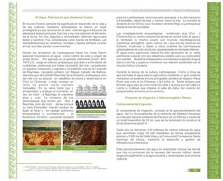 El Agua, Patrimonio que Debemos Cuidar.
39
40
El recurso hídrico siempre ha significado el desarrollo de la vida y
de las culturas. Nuestros antecesores le dieron un lugar
privilegiado ya que reconocían el valor vital del agua a tal punto de
elevarla a deidad principal. Del mar y los ríos obtenían el alimento,
de la lluvia, los ríos, lagunas y manantiales obtenían agua para
beber y sembrar. Fue considerada como fuente de fertilidad. Las
representaciones en cerámica, murales y tejidos siempre evocan
al mar, sus olas, peces y aves marinas.
Desde los ancestros de Lambayeque hasta los incas dieron
especial importancia al agua como fuente de vida y origen de
poder divino. Por ejemplo en el periodo intermedio tardío: 900-
1470 d.C., surge la cultura Lambayeque que dota a su fundador de
cualidades poderosas por haber procedido del mar, considerado
un espacio misterioso y sagrado .La tradición oral de la Leyenda
de Ñaymlap recogida primero por Miguel Cabello de Balboa,
describe que el fundador Ñaymlap de la dinastía Lambayeque vino
del mar con su séquito en caballitos de totora y desembarcó en
Chot (o Chotuna), y trajo consigo un
ídolo de piedra verde llamado
Yampallec. En su reino hubo paz y
prosperidad; y al llegar el momento, en
vez de morir a Ñaymlap le crecieron
alas y voló. La dinastía de los
Lambayeque que tenían por dios a
Ñaymlap (ave del mar) decae porque
su nieto Fempellec intentó cambiar de
lugar al ídolo y en castigo sobrevino
tempestades e inundaciones – el
fenómeno “El Niño”- causando desastre
para los Lambayeque, entonces para apaciguar a su dios lanzaron
a Fempellec, atado de pies y manos, hacia al mar. Le sucedió la
dinastía de los Chimú cuyo fundador también llegó a Lambayeque
desde el mar en una balsa.
Las investigaciones arqueológicas evidencian que Chot o
Chotuna fue un centro ceremonial donde se rendía culto al agua y
la fertilidad: lo mismo ocurre con muchas manifestaciones
(cerámica, petroglifos, canto, danza, etc.) que aún se practican en
Cañaris, Incahuasi y Salas y otros pueblos de Lambayeque
sobresaliendo el culto a la lluvia, representada en deidades felinas.
El agua como patrimonio natural ha sido generador de un vasto
patrimonio cultural, por eso debemos cuidarla para su continuidad
con calidad. Nuestros antepasados consideraron sagrada al agua
dulce o de mar y supieron mantener una relación sostenible con el
recurso hídrico y la tierra.
Durante la época de la cultura Lambayeque, Chimú e Inca se
aprovechaba el agua para la agricultura mediante un gran sistema
hidráulico consistente en tres principales canales de regadío: Raca
Rumi que unía al río Chancay y la Leche, el Taymi antiguo que
llevaba agua para la zona norte del valle y la zona sur del valle La
Leche y; Collique que irrigaba al valle de Zaña. Así vivieron en
prosperidad y armonía con su entorno.
El componente de irrigación, consiste en el aprovechamiento del
agua del río Huancabamba de la vertiente del Atlántico haciendo
su trasvase hacia la vertiente del Pacífico (al río Olmos) a través de
un túnel trasandino de 20 km, que se ha terminado de construir el
20 de diciembre del 2011.
Cada año se derivarán 410 millones de metros cúbicos de agua
que permitirán irrigar 38 000 hectáreas de tierras actualmente
eriazas y 5 500 ha del Valle Viejo y la Comunidad Campesina Santo
Domingo de Olmos, mediante el desarrollo y gestión de
infraestructura hidráulica.
Este aprovechamiento del agua es importante porque las tierras
que hoy no producen por la escasez del recurso hídrico, darán
auge principalmente a la agroindustria y dinamizarán la economía
regional.
Proyecto de Irrigación e Hidroenergético Olmos.
Componente de Irrigación.
Manual Iconográfico de Túcume
y la Cultura Lambayeque.
Iconografías de olas marinas.
Recreación de arribo de Ñaymlap
desde el mar.
Petroglifos en Cerro Huacrupe. Olmos.
Evidenciarían culto al agua.
blogs.educared.org rpp.noticias.com.pe
39.
40.
KAUFFMANN D, F. Introducción al Perú Antiguo. Una Nueva Perspectiva. Lima. Kompaktos. 1990. p 14. Citado por
Limon O, S. 2006. En “Entidades Sagradas y Agua en la Antigua Religión Andina” Latinoamérica. N° 043. UNAM. México.
WESTER L. T, C. Chotuna Chornancap. “Templos, Rituales y Ancestros Lambayeque”
Guía de Educación Ambiental - Región Lambayeque
163
 