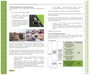 PROCESO/DESARROLLO/ELABORACIÓN:
Los estudiantes leen y seleccionan información relevante del
texto:
“Las Vías Limpias, Salvan Vidas”
Se muestra un gráfico para
ubicar la berma en un
escenario vial deseable.
Se brinda información sobre los
“puntos negros” o críticos por
cúmulos de residuos sólidos en
las vías departamentales de
Lambayeque.
http://transportes.regionlambayeque.gob.pe/ Fuente: Carolina Matute Silva, 2006
Se les anima a discutir las causas por las que malos conductores y
vecinos arrojan residuos en la berma. (desconocen dónde
depositar esos residuos y tratamiento /no les importa el bien
común/ no han visto sanciones, etc.)
Se pregunta: ¿Qué consecuencias a la seguridad vial ocasionan
las malas prácticas de arrojar residuos en las bermas? (¿Qué
impacto tendría si tú fueras accidentado por causa de la
obstaculización de la berma con desmonte?)
¿Qué riesgos socio ambientales produce?
(contaminación, enfermedades, costo de limpieza
recurrente)
¿Qué impresión causa en los viajeros y turistas
escenarios de cúmulos de residuos sólidos en las vías de
ingreso/salida de las ciudades de Lambayeque? Si vas de
turista cuál sería tu percepción del problema?
¿Por qué somos indiferentes ante este problema que a
todos nos afecta?
¿Qué efectos económicos tiene limpiar una vía
recurrentemente por el continuo arrojo de residuos?
Infieren soluciones a partir de las causas e información leída.
Contrastan escenarios viales obstaculizados con desmonte y vías
limpias o deseables.
Luego se les pide realizar la simulación de reconstrucción de los
hechos anteriores a estos escenarios, incorporando la información
relevante del texto leído:
Un vecino que está culminando la
remodelación de su vivienda.
Vehículo de transporte urbano despistado al
tratar de estacionarse pero encontró desmonte en la
berma.
Establecen conclusiones.
SALIDA/ CIERRE/RESPUESTA:
¿Cómo aprendiste hoy?¿De qué manera serías parte de la
solución del problema de acumulación de residuos en la vías?
Se precisa el lema
7.- Evaluación.
Equipo 1:
Equipo 2:
¡Vías Limpias, Salvan Vidas!
T* = práctica transversal.
Guía de Educación Ambiental - Región Lambayeque
196
Infiere causas del arrojo
de residuos sólidos en las
vías departamentales de
Lambayeque.
Explica las consecuencias
en la seguridad vial,
ambiente, turismo y
economía de Lambayeque,
del arrojo de residuos
sólidos en las vías.
Representa las medidas de
disposición adecuada
de residuos sólidos.
T* Practica las 4 R.
Muestra disposición favorable
para la promoción de la
adecuada disposición de
residuos sólidos de
su comunidad.
Indicadores Instrumento
Indagación
y Experi-
mentación
Actitudes
ante el Área
Criterio
Capacidad
Analiza las
implicancias
de la
acumulación
de residuos
en las vías
departamenta
les y
alternativas.
Actitud
Ejercicio
práctico
Lista de
cotejo
 