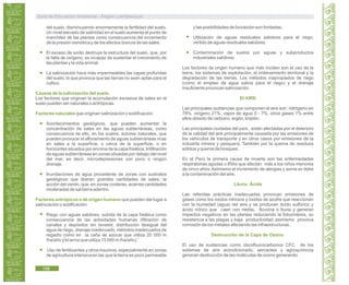 Guía de Educación Ambiental - Región Lambayeque
del suelo, disminuyendo enormemente la fertilidad del suelo.
Un nivel elevado de salinidad en el suelo aumenta el punto de
marchitez de las plantas como consecuencia del incremento
de la presión osmótica y de los efectos tóxicos de las sales.
El exceso de sodio destruye la estructura del suelo, que, por
la falta de oxígeno, es incapaz de sustentar el crecimiento de
las plantas y la vida animal.
La salinización hace más impermeables las capas profundas
del suelo, lo que provoca que las tierras no sean aptas para el
cultivo.
Causas de la salinización del suelo.
Los factores que originan la acumulación excesiva de sales en el
suelo pueden ser naturales o antrópicas.
Factores naturales que originan salinización o sodificación:
Acontecimientos geológicos, que pueden aumentar la
concentración de sales en las aguas subterráneas, como
consecuencia de ello, en los suelos; actores naturales, que
pueden provocar el afloramiento de aguas subterráneas ricas
en sales a la superficie, o cerca de la superficie, o en
horizontes situados por encima de la capa freática; Infiltración
de aguas subterráneas en zonas situadas por debajo del nivel
del mar, es decir, microdepresiones con poco o ningún
drenaje.
Inundaciones de agua procedente de zonas con sustratos
geológicos que liberan grandes cantidades de sales; la
acción del viento, que, en zonas costeras, acarrea cantidades
moderadas de sal tierra adentro.
Factores antrópicos o de origen humano que pueden dar lugar a
salinización o sodificación:
Riego con aguas salobres; subida de la capa freática como
consecuencia de las actividades humanas (filtración de
canales y depósitos sin revestir, distribución desigual del
agua de riego, drenaje inadecuado, métodos inadecuados de
regadío como en la caña de azúcar que utiliza 20 000 m
/ha/año y el arroz que utiliza 15 000 m /ha/año).
Uso de fertilizantes y otros insumos, especialmente en zonas
de agricultura intensiva en las que la tierra es poco permeable
y las posibilidades de lixiviación son limitadas.
Utilización de aguas residuales salobres para el riego;
vertido de aguas residuales salobres.
Contaminación de suelos por aguas y subproductos
industriales salobres.
Los factores de origen humano que más inciden son el uso de la
tierra, los sistemas de explotación, el ordenamiento territorial y la
degradación de las tierras. Los métodos inapropiados de riego
(como el empleo de agua salina para el riego) y el drenaje
insuficiente provocan salinización.
El AIRE
Las principales sustancias que componen el aire son: nitrógeno en
78%, oxígeno 21%, vapor de agua 0 - 7%, otros gases 1% entre
ellos dióxido de carbono, argón, kriptón.
Las principales ciudades del país, están afectadas por el deterioro
de la calidad del aire principalmente causada por las emisiones de
los vehículos de transporte y en otros casos por emisiones de la
industria minera y pesquera. También por la quema de residuos
sólidos y quema de bosques.
En el Perú la primera causa de muerte son las enfermedades
respiratorias agudas o IRAs que afectan más a los niños menores
de cinco años.Asimismo el incremento de alergias y asma se debe
a la contaminación del aire.
Lluvia Ácida
Las referidas prácticas inadecuadas provocan emisiones de
gases como los óxidos nitrosos y óxidos de azufre que reaccionan
con la humedad (agua) del aire y se producen ácido sulfúrico y
ácido nítrico que caen con niebla, llovizna o lluvia y generan
impactos negativos en las plantas reduciendo la fotosíntesis, su
resistencia a las plagas y baja productividad; asimismo provoca
corrosión de los metales afectando las infraestructuras.
Destrucción de la Capa de Ozono.
El uso de sustancias como clorofluorocarbonos CFC de los
sistemas de aire acondicionado, aerosoles y agroquímicos
generan destrucción de las moléculas de ozono generando
3 3
198
 