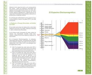 Guía de Educación Ambiental - Región Lambayeque
deterioro de la capa de ozono y en consecuencia
hay mayor índice de radiación ultravioleta que
ingresa a la tierra generando daños a la vista, piel,
sistema inmunológico de las personas así como
muerte celular en fitoplancton y alteraciones en la
capacidad fotosintética de las plantas, alterando su
producción y contenido nutritivo.
En el Protocolo de Montreal muchos países se han
comprometido a reducir los gases CFC y se está
avanzando.
La Radiación o Energía Ultravioleta es Emitida
por el Sol.
El sol emite varios tipos de radiaciones, entre ellas
radiación luminosa o luz visible, radiación infrarroja
o calor y radiaciones ultravioleta.
La luz blanca está compuesta de siete ondas de
colores: rojo, anaranjado, amarillo, verde, azul,
celeste y violeta. Es la única radiación visible por el
ojo humano.
En el Espectro Electromagnético, la radiación
ultravioleta está ubicada inmediatamente más allá
de la radiación violeta. Se divide en tres bandas o
radiaciones: UVA, UVB y UVC y se distinguen por
la longitud de su onda.
UVA. Su longitud de onda varía entre 400 y
320 nanómetros. Broncea la piel. Es la menos
dañina porque tiene menos energía pero en
gran intensidad si provoca efectos nocivos.
UVB. Su longitud de onda varía entre 320 y
280 nm, por lo que es de alta energía. Es muy
peligrosa para la vida en general y, en
particular, para la salud humana, en caso de
exposiciones prolongadas de la piel y los ojos
(cáncer de piel, melanoma, catarata,
debilitamiento del sistema inmunológico).
Representa sólo el 5% de la UV.
UVC. Su longitud de onda varía entre 280 y
200 nm. Es la más peligrosa para el ser
humano. Pero no llega a la superficie terrestre
porque toda es absorbida en la atmósfera.
Ondas largas
Ondas medias
Ondas cortas
Ondas ultracortas
Televisión
Rayos infrarrojos
Rayos ultravioletas
Rayos x
Rayos Gamma
Rayos cósmicos
Radar
El Espectro Electromagnético
Luz
10
10
10
10
10
10
10
10
10
10
10
10
10
nm 780 nm
610 nm
590 nm
570 nm
500 nm
475 nm
450 nm
380 nm
-1
-2
-3
-4
-5
-6
1
2
3
4
5
6
199
 