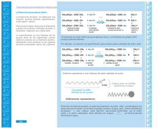 Guía de Educación Ambiental - Región Lambayeque
La Reacción que produce Jabón
La producción de jabón se realiza por una
reacción química llamada saponificación.
(Latín sapon = jabón).
Para producir jabón reacciona el triglicérido
o grasa con el álcali o hidróxido de sodio, o
de potasio, magnesio, etc. Libera calor.
La saponificación es una hidrólisis de los
grupos éster de los triglicéridos cuando
están en contacto con un hidróxido alcalino,
obteniendo como producto la sal orgánica
de sodio (o de potasio, calcio, etc.) y glicerol.
CH3-(CH2)n – COO –CH2 + Na OH CH3-(CH2)n – COO –Na CH2OH
l calor l
CH3-(CH2)n – COO –CH + Na OH CH3-(CH2)n – COO –Na + CHOH
l l
CH3-(CH2)n – COO –CH2 + Na OH CH3-(CH2)n – COO –Na CH2OH
1 molécula de grasa/ 3 compuesto 3 moléculas de jabón 1 molécula de
Triglicérido o aceite iónico hidróxido (en este caso de sodi o) glicerina o
alcalino * glicerol
*El hidróxido de sodio NaOH produce jabones duros, y el hidróxido de potasio KOH
produce jabones blandos.
Por ejemplo: La reacción de saponificación para producir jabón palmitato de sodio, será:
CH3-(CH2)14 – COO –CH2 + Na OH CH3-(CH2)14 – COO –Na CH2OH
l calor l
CH3-(CH2)14 – COO –CH + Na OH CH3-(CH2)14 – COO –Na + CHOH
l l
CH3-(CH2)14 – COO –CH2 + Na OH CH3-(CH2)14 – COO –Na CH2OH
1 palmitato de glicerol 3 hidróxido 3 palmitato de sodio 1 glicerol
de sodio (jabón)
Entonces, la molécula de jabón, en este caso palmitato de sodio, está constituida por una
larga cola que es apolar por lo tanto insoluble, rechaza al agua pero si tiene afinidad por
las grasas; y una cabeza polar NaCOO- que al estar conformada por el catión
sodio y el anión carboxilato; tiene afinidad por el agua por tanto le permite
disolverse en agua.
Podemos representar a una molécula del jabón palmitato de sodio.
O
C
O-Na+
Cabeza polar, es hidrófila
(afinidad por el agua)
Cola apolar, es liófila
(afinidad por las grasas)
Gráficamente, representamos:
H
O
H
2-
+ +
226
 