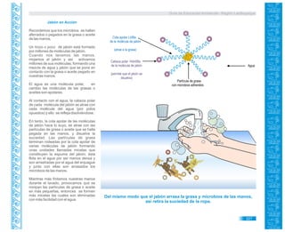 Guía de Educación Ambiental - Región Lambayeque
Jabón en Acción
Recordemos que los microbios se hallan
aferrados o pegados en la grasa o aceite
de las manos.
Un trozo o poco de jabón está formado
por millones de moléculas de jabón.
Cuando nos lavamos las manos,
mojamos el jabón y así activamos
millones de sus moléculas, formando una
mezcla de agua y jabón que se pone en
contacto con la grasa o aceite pegado en
nuestras manos.
El agua es una molécula polar, en
cambio las moléculas de las grasas o
aceites son apolares.
Al contacto con el agua, la cabeza polar
de cada molécula del jabón se atrae con
cada molécula del agua (por polos
opuestos) y ello se refleja disolviéndose.
En tanto, la cola apolar de las moléculas
de jabón hace lo suyo, se atrae con las
partículas de grasa o aceite que se halla
pegada en las manos, y disuelve la
suciedad. Las partículas de grasa
terminan rodeadas por la cola apolar de
varias moléculas de jabón formando
unas unidades llamadas micelas que
constituyen la espuma del jabón, ésta
flota en el agua por ser menos densa y
son arrastradas por el agua del enjuague
y junto con ellas son arrasados los
microbios de las manos.
Mientras más frotamos nuestras manos
durante el lavado, provocamos que se
rompan las partículas de grasa o aceite
en más pequeñas, entonces se formen
más micelas las cuales son eliminadas
con más facilidad con el agua.
Cola apolar Liófila
de la molécula de jabón
(atrae a la grasa)
Cabeza polar Hidrófila
de la molécula de jabón
(permite que el jabón se
disuelva)
Agua
Partícula de grasa
con microbios adheridos
Del mismo modo que el jabón arrasa la grasa y microbios de las manos,
así retira la suciedad de la ropa.
227
 