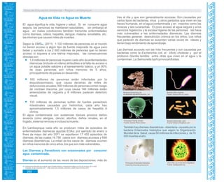 Guía de Educación Ambiental - Región Lambayeque
Agua es Vida vs Agua es Muerte
El agua significa la vida, higiene y salud. Si se consume agua
segura, las personas se mantienen saludables; sin embargo el
agua en malas condiciones también transmite enfermedades
como diarreas, cólera, hepatitis, dengue, malaria, encefalitis, etc.
las mismas que causan miles de muertes.
Según la OMS . (2011) 1 100 millones de personas en el mundo68
no tienen acceso a algún tipo de fuente mejorada de agua para
beber y sumado a los 2 600 millones de personas que no tienen
acceso ni siquiera a una letrina mejorada; las consecuencias
directas son:
1,6 millones de personas mueren cada año de enfermedades
diarreicas (incluido el cólera) atribuibles a la falta de acceso a
un agua potable salubre y al saneamiento básico, y un 90%
de esas personas son niños menores de 5 años,
principalmente de países en desarrollo.
160 millones de personas están infectadas por la
esquistosomiasis, que causa decenas de miles de
defunciones anuales; 500 millones de personas corren riesgo
de contraer tracoma, por cuya causa 146 millones están
amenazadas de ceguera y 6 millones padecen deterioro
visual.
133 millones de personas sufren de fuertes parasitosis
intestinales causadas por helmintos; cada año hay
aproximadamente 1,5 millones de casos de hepatitis A
clínica.
El agua contaminada con sustancias tóxicas provoca daños
severos como alergias, cáncer, abortos, daños renales, en el
hígado, sistema nervioso e incluso la muerte.
En Lambayeque cada año se producen miles de episodios de
enfermedades diarreicas agudas EDAs; por ejemplo de enero a
fines de mayo del año 2011 se reportaron 17 455 episodios de
diarreas, de las cuales 16 756 casos son diarreas acuosas y 698
diarreas disentéricas. La mitad de los casos de diarreas ocurren
en niños menores de cinco años, los que son más vulnerables.
Las Diarreas y Parasitosis son ocasionadas por consumir
agua contaminada.
Diarrea es el aumento de las veces de las deposiciones: más de
tres al día y que son generalmente acuosas. Son causadas por
varios tipos de bacterias, virus y otros parásitos que viven en las
heces humanas, en el agua contaminada y en insectos como las
moscas y las cucarachas. El poco acceso al agua segura y a los
servicios higiénicos y la escasa higiene de las personas las hace
más vulnerables a las enfermedades diarreicas. Las diarreas
frecuentes generan desnutrición crónica en los niños. Los niños
que padecen de diarreas se ausentan varias veces de clases y
tienen bajo rendimiento de aprendizaje.
Las diarreas acuosas son las más frecuentes y son causadas por
bacterias como la Escherichia coli, el Vibrio cholerae y por el
protozoo Giardia lamblia entre otras que viven en el agua y la
contaminan. La Salmonella typhi provoca tifoidea.
Bacteria Vibrio cholerae
Fuente: Science Pho to Library
Protozoario Giardia lamblia
Fuente: Science Photo Library
Bacteria Salmonella typhi
Fuente: Bacteria Kingdoms.com
Bacterias Escherichia coli
es.wikipedia.org/wiki/Escherichia_coli
Protozoario Entamoeba histolytica
Fuente:http://www.atlas-protozoa.com
Virus VHA, es el virus de la Hepatitis A
Fuente: fundapoyarte.org
También hay diarreas disentéricas –disentería- causada por la
bacteria Entamoeba histolytica que según la Organización
Mundial de la Salud, causa 50 millones de infecciones y de 70
000 muertes al año.
68. Organización Mundial de la Salud. Agua Potable Salubre y Saneamiento Básico en Pro de la Salud. [En Línea]
Consulta: 30 de noviembre 2011. <http://www.who.int/water_sanitation_health/mdg1/es/index.html>
282
 