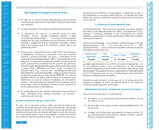 Guía de Educación Ambiental - Región Lambayeque
Sal Yodada, Principal Fuente de Yodo.
El Yodo es un micronutriente indispensable para el normal
crecimiento y desarrollo del niño desde antes de nacer hasta
que es adulto.
La mejor fuente deYodo es la sal yodada bien conservada.
La deficiencia de yodo es la principal causa de daño
cerebral, retardo mental, infertilidad, abortos y baja
productividad en los adultos. El bocio se produce porque
ante la falta de yodo en la dieta por varios meses, las células
tiroideas y la glándula tiroides aumentan de tamaño. Afecta
más a las mujeres que a los hombres y sobre todo a las
gestantes y niños.
Nuestro país mediante Decreto Ley N° 17387, ha dispuesto
la obligatoria producción y venta de la sal para consumo
humano y animal, fortificada con yodo, conteniendo 30-40
partes de yoduro de potasio por millón y ha prohibido la venta
del producto en estado natural desde 1969 a fin de evitar los
DDI o desórdenes por deficiencia de yodo en la población.
Recién a partir de los años 80' se da cumplimiento a la norma
y desde 1992 el Ministerio de Salud vigila la calidad de
yodación de la sal; y a través de la Estrategia Sanitaria de
Alimentación y Nutrición Saludable realiza muestreo de la sal
en plantas productoras a nivel de la GERESA y a nivel de
establecimientos de salud realiza visitas en domicilios para
determinar el nivel de yodación mediante uso del reactivo
yoditest. Es importante conocer la forma de conservar bien la
sal yodada y verificar el registro sanitario, para consumir la
sal con adecuado nivel de yodación.
En el departamento, se cuenta con plantas de sal yodada en
José Leonardo Ortiz, Parque Industrial, La Victoria ,
Lambayeque y Mórrope.
El yodo se sublima, hay que conservarlo.
El yodo es un elemento químico sólido gris que se sublima por
aumento de temperatura (es decir pasa directamente del estado
sólido al gaseoso), por eso es importante que la sal yodada que
utilizamos para cocinar esté alejada del fuego o calor, se conserve
en un recipiente opaco, seco y bien tapado. Cuando adquirimos
sal, debemos fijarnos que sea yodada y su apariencia sea seca y
asegurarnos que esté bien conservada en un lugar fresco, seco y
de preferencia no expuesta a la luz directa. Los saleritos de mesa
deben ser opacos y estar bien tapados para que el yodo de la sal
no se sublime.
La Glándula Tiroides Necesita Yodo
La glándula Tiroides tiene forma de mariposa y se ubica delante
del cuello. En la persona adulta mide 4x2x2 cm y pesa aprox. 20 g.
Produce hormonas tiroideas o del crecimiento por acción
regulatoria de la hormona tiroidea estimulante (TSH) de la hipófisis
ubicada en el cerebro.
Las hormonas tiroideas principales son la triyodotironina o T3 y la
tetrayodotironina o T4. La proporción es de 7% y 93%
respectivamente. Estas hormonas requieren suficiente cantidad
de yodo para producirse; así:
La madre aporta yoduro (I-) al embrión a través de la placenta y en
él, la glándula tiroides inicia su formación en las primeras
semanas de la gestación de tal manera que a la 8ª semana ya está
diferenciada y es capaz de producir sus propias hormonas tiroideas
a la 11- 12 semana, que son muy importantes para el crecimiento
del feto y el desarrollo de su cerebro.
Cuando la madre de lactar, el yodo va junto a la leche, así el niño
asegura su ingesta de yodo, por ello se eleva a 200 µg/día el
consumo de yodo por parte de la madre.
Metabolismo del Yodo y Síntesis de Hormonas Tiroideas
Tomemos como ejemplo en un adolescente:
Se ingiere, con la sal yodada que usamos en la dieta ,150 µg
de yodo en un día.
Se absorben en el yeyuno e íleon pasando al plasma los 150
µg de yodo.
Al llegar a la tiroides, ésta absorbe por transporte activo 120
µg de yodo (como yoduro) en sus células tirocitos y quedan
30 µg en el líquido extracelular.
318
 