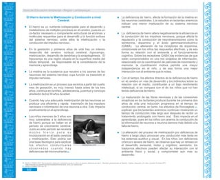 Guía de Educación Ambiental - Región Lambayeque
El Hierro durante la Mielinización y Conducción a nivel
Cerebral.
El hierro es un nutriente indispensable para el desarrollo y
metabolismo de múltiples procesos en el cerebro, pues es un
co-factor necesario o componente estructural de enzimas y
moléculas requeridas para el desarrollo y la función exitosa
del sistema nervioso, entre ellos la mielinización y la
conducción del impulso nervioso.
En la gestación y primeros años de vida hay un intenso
desarrollo del cerebro: corteza cerebral, hipocampo,
mielinización, desarrollo de dendritas y la sinaptogénesis. El
hipocampo es una región situada en la superficie media del
lóbulo temporal; es responsable de la consolidación de la
memoria y aprendizaje.
La mielina es la sustancia que recubre a los axones de las
neuronas del sistema nervioso cuya función es transmitir el
impulso nervioso.
La mielinización es un proceso que se inicia a partir del cuarto
mes de gestación, es muy intenso hasta antes de los tres
años, continúa en la niñez, adolescencia, juventud y concluye
alrededor de los 30 años de edad.
Cuando hay una adecuada mielinización de las neuronas se
produce una eficiente y rápida trasmisión de los impulsos
nerviosos o información de una neurona a otra. Esto impacta
positivamente en el aprendizaje.
Los niños menores de 3 años son
muy vulnerables a la deficiencia
de hierro porque se hallan en el
período de crecimiento cerebral.
Justo en este período se necesita
m u c h o h i e r r o p a r a s u
incorporación en el tejido cerebral
y mielinización. Esto podría ser
una base fisiológica para explicar
los efectos conductuales
o b s e r v a d o s c u a n d o h a y
deficiencias del micronutriente .86
La deficiencia de hierro, afecta la formación de la mielina en
las neuronas cerebrales. Los estudios en lactantes anémicos
indican una menor maduración de su sistema nervioso
central.
La deficiencia de hierro altera negativamente la eficiencia en
la conducción de los impulsos nerviosos, porque afecta la
regulación y la conducción de neurotransmisores como la
serotonina, dopamina y el ácido gammaaminobutírico
(GABA). La alteración de los receptores de dopamina,
compromete en los niños las respuestas afectivas, y de esa
forma su relación con el ambiente y el funcionamiento
cognitivo. Sobre los receptores GABA hay evidencias de que
están comprometidos en una red sináptica de información,
relacionada con la coordinación de patrones de movimiento y
memoria, la coordinación motora permite una mayor
independencia en el niño, y de esa forma una mejor
interacción con el ambiente que lo rodea.
Con el tiempo, los efectos directos de la deficiencia de hierro
en el cerebro en vías de desarrollo y los indirectos sobre su
relación con el medio, contribuirán a un bajo rendimiento
intelectual, si se compara con el de los niños que no han
tenido deficiencia de hierro.
La maduración de las fibras nerviosas y de las conexiones
sinápticas en los lactantes produce durante los primeros dos
años de vida una reducción progresiva en el tiempo de
conducción central, en tanto, los estudios de Roncagliolo .87
explican que los lactantes anémicos continúan mostrando un
tiempo de conducción más largo aún después de recibir un
tratamiento prolongado con hierro oral. Esto impacta en el
aprendizaje, pues en los niños con anemia la conducción de
la información de neurona a neurona demora más debido a la
falta de hierro.
La alteración del proceso de mielinización por deficiencia de
hierro a largo plazo provocan una conducción más lenta en
los sistemas auditivo y visual. En los niños con deficiencia
crónica o severa de hierro, se observa que hay un retraso en
el desarrollo sensorial, motor y cognitivo, asimismo, los
trastornos afectivos pueden afectar su interacción con el
ambiente físico y social, y comprometer aún más su
desarrollo.
bebesymas.com
86. GILDA G. STANCO, M.D. “Funcionamiento intelectual y rendimiento escolar en niños con anemia y deficiencia de hierro” Sociedad Latinoamericana de Nutrición - Capítulo Venezolano. En Línea. Consulta: 03 octubre 2011.
<http://www.slan.org.ve/publicaciones/completas/funcionamiento_ninos_con_anemia.asp>
GILDA G. STANCO, M.D. Loc. Cit.87.
322
 