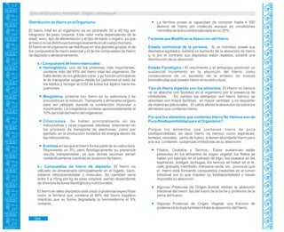 Guía de Educación Ambiental - Región Lambayeque
Distribución de Hierro en el Organismo.
El hierro total en el organismo es en promedio 30 a 40 mg por
kilogramo de peso corporal. Este valor varía dependiendo de la
edad, sexo, tipo de alimentación y el tipo de tejido u órgano, ya que
el hierro no se distribuye homogéneamente en el cuerpo humano.
El hierro en el organismo se distribuye en dos grandes grupos, el de
los compuestos de hierro esencial y el de los compuestos de hierro
de depósito o almacenamiento:
a.- Compuestos de hierro esenciales:
Hemoglobina, una de las proteínas más importantes,
contiene más del 65% del hierro total del organismo. Se
halla dentro de los glóbulos rojos y su función principal es
la de transportar oxígeno desde los pulmones al resto de
los tejidos y recoger el CO2 de todos los tejidos hacia los
pulmones.
Mioglobina, proteína con hierro en su estructura y se
encuentra en el músculo. Transporta y almacena oxígeno
para ser utilizado durante la contracción muscular o
movimiento. La mioglobina contiene aproximadamente el
10% del total del hierro del organismo.
Citocromos. Se hallan principalmente en las
mitocondrias y otras organelas celulares. Intervienen en
los procesos de transporte de electrones, como por
ejemplo, en la producción oxidativa de energía dentro de
las mitocondrias.
Enzimas en las que el hierro forma parte de su estructura.
Representa un 3%, pero fisiológicamente su presencia
resulta indispensable, ya que dichas enzimas serían
metabólicamente inactivas en ausencia de hierro.
b.- Compuestos de hierro de depósito: El hierro no
utilizado es almacenado principalmente en el hígado, bazo,
sistema retículoendotelial y músculos. Su cantidad varía
entre 0 a 15mg por kg de peso corporal, siendo dependiente
de diversos factores fisiológicos y nutricionales.
El hierro en tales depósitos está unido a proteínas específicas
como la ferritina que contiene el 95% del hierro hepático
mientras que su forma degradada la hemosiderina el 5%
restante.
La ferritina posee la capacidad de contener hasta 4 500
átomos de hierro por molécula aunque en condiciones
normales se la encuentra saturada en un 20%.
Factores que Modifican laAbsorción del Hierro.
Estado nutricional de la persona. Si un individuo posee sus
depósitos agotados, existirá un aumento de la absorción de hierro
y, si por el contrario sus depósitos están repletos, existirá una
disminución de su absorción.
Estado Fisiológico.- El crecimiento y el embarazo producen un
sustancial incremento en la absorción del hierro, como
consecuencia de un aumento de la síntesis de nuevas
biomoléculas que poseen hierro en su estructura.
Tipo de Hierro Ingerido con los alimentos. El Hierro no hémico
no se absorbe con facilidad en el organismo por la presencia de
inhibidores. En cambio los alimentos con hierro hémico se
absorben con mayor facilidad, en mayor cantidad y no requieren
de vitaminas adicionales. El calcio afecta la absorción de todos los
alimentos que contienen hierro.
Por qué los alimentos que contienen Hierro No Hémico son de
Poca Biodisponibilidad para el Organismo?
Porque los alimentos que contienen hierro de poca
biodisponibilidad, es decir hierro no hémico como espinacas,
lentejas, cereales; yema de huevo, si tienen abundante hierro pero
a la vez contienen sustancias inhibidoras de su absorción:
Fitatos, Oxalatos y Taninos.- Estas sustancias están
presentes en los alimentos de origen vegetal; los fitatos se
hallan por ejemplo en el salvado de trigo, los oxalatos en las
espinacas, acelgas, lechugas, los taninos se hallan en el té,
café, granada, membrillo, manzana verde, etc. provocan que
el hierro esté formando compuestos insolubles en el lumen
intestinal por lo que impiden su biodisponibilidad y hacen
imposible su absorción.
Algunas Proteínas de Origen Animal inhiben la absorción
intestinal del hierro: las del suero de la leche y proteínas de la
yema del huevo.
Algunas Proteínas de Origen Vegetal, una fracción de
proteína de la soya también inhibe la absorción del hierro.
324
 