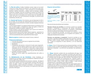 Guía de Educación Ambiental - Región Lambayeque
1.- Plan de cultivo: Cuáles hortalizas crecen mejor en la zona?
¿Cuál es la mejor época de siembra y de cosecha de cada una?
¿Cuánto se quiere producir? Para comenzar es recomendable
sembrar cultivos conocidos y fáciles como la lechuga, acelga,
zanahoria, zapallito. Hay que considerar la rotación de cultivos, es
decir no es bueno sembrar el mismo cultivo en el mismo lugar del
huerto para que no se gasten los mismos tipos de nutrientes del
suelo, por eso si una vez sembramos lechugas, la próxima será
zanahorias, brócolis, etc.
2.- Tamaño del Terreno: Es el terreno que se disponga en la IE o
en el hogar. Por principio de ordenamiento territorial si en la IE u
hogar se prevé que se tendrá un huerto, se debe respetar el terreno
para ese fin.
¿Cómo será el regado? Un sistema tradicional por inundación en el
que se pierda agua o instalaremos riego por goteo a través de
mangueras, botellas con gotero, aspersión, etc.
Prever sombra y sol para las plantas, por lo que en la huerta se
pueden sembrar árboles intercalados.
Hay que prever que el suelo tenga materia orgánica; garantizar la
riqueza de los nutrientes que del suelo pasarán a las plantas, así
como la suavidad del suelo y capacidad de retener agua.
Materia orgánica: pueden ser compost, humus, estiércol.
Preparación del Huerto:
Cercado del huerto para que no ingresen los animales.
Limpieza del terreno.
Nivelación.
Preparación del terreno o remover el suelo para oxigenarlo:
Usar 2 a 5 kg de materia orgánica por cada m2 de terreno y
mezclarlo con los 10 primeros cm del suelo y luego enterrar
en los 30 primeros cm del suelo y voltear una y otra vez hasta
que quede parejo, al mismo tiempo hay que retirar las piedras
grandes y se pasa el rastrillo.
Hacer los surcos según las especificaciones del cultivo a
sembrar.
3.- Multiplicación de las Hortalizas: Unas hortalizas se
multiplican por semillas y otras por propagación vegetativa (bulbos,
yemas, tubérculos, tallos, etc.).
Las semillas pueden obtenerse de los frutos o plantas. Se elige el
mejor fruto o planta, Si es fruto, las semillas se sacan del centro, se
lavan con agua limpia y se dejan secar por 3 días a la sombra
sobre periódico, luego se llevan al semillero o se almacenan en
bolsitas de papel si es por corto tiempo o en frascos de vidrio para
periodos más largos.
Disponer del semillero:
Llene la botella con un sustrato
compuesto por ½ de tierra, 1/4
de cascarilla de arroz y 1/4 de
compost.
Cubra las semillas y riegue
cada 3 días.
Hay dos formas de sembrar las hortalizas:
Siembra directa de semillas en el terreno cuando son semillas
grandes y resistentes a variaciones del tiempo atmosférico.
Ejemplo: rabanito, culantro, zanahoria. La cantidad y profundidad
a la que se colocan las semillas varía de acuerdo al cultivo.
Una vez colocadas las semillas se cubren con compost o tierra
negra, se apisona suavemente con la espalda de la palana y se
riega para mantener la humedad.
Siembra vía almácigo y trasplante: Cuando la semilla es muy
pequeña y necesita cuidados especiales para germinar. Ejemplo:
lechuga, coliflor, tomate, repollo, brócoli, pimiento, cebolla, apio,
etc. Luego se trasplanta al suelo definitivo y en las distancias
deseadas.
4.- Raleo: A los 4-5 días aparecen las primeras plantitas y se hace
el raleo es decir se dejan las plantitas más fuertes y sanas y en las
distancias deseadas y se eliminan las plantitas muy apiñadas y
débiles.
5.- Riego, teniendo cuidado del uso ecoeficiente del agua. Las
semillas y plantas siempre necesitan humedad para germinar y
aprovechar los nutrientes. El riego por goteo permite dar a la planta
la cantidad justa de agua que ella necesita. Recordemos que la
mayor parte del territorio de Lambayeque es desierto costero y
bosque seco. La mejor hora para regar es a primera mañana y al
final de la tarde- noche. Evitar mojar el follaje u hojas porque
predisponemos a las plantas a las enfermedades.
El agua para el riego de hortalizas debe ser agua segura para no
contaminar los cultivos con microbios y parásitos. Por ejemplo se
puede desinfectar con 5 gotitas de yodo doméstico por cada litro de
agua y dejar reposar media hora.
333
 