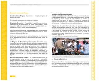 Brigada de Gestión del Riesgo
Coordinador de Brigada. Representa a todas las brigadas de
gestión del riesgo.
En cada aula se organizan las siguientes brigadas:
Brigada de Señalética y Protección.- Capacita a sus miembros.
Participan de la identificación de zonas vulnerables y zonas
seguras en la IE, ante una determinada amenaza (es distinto para
inundación que para sismo, vientos fuertes, etc.).
Verifican permanentemente la señalética en las zonas seguras,
rutas de evacuación, vigencia de extintores/disposición de arena,
ubicación de llaves de agua, etc.
Verifican el funcionamiento del sistema de alarma. En el momento
de la emergencia apoyan la evacuación hacia las zonas de
seguridad.
La Brigada de Seguridad y Evacuación.- Capacitan a sus
miembros. Verifica permanentemente la fluidez de los pasadizos,
la distribución de las carpetas, escritorios y otros muebles; que las
puertas se abran hacia afuera y funcionen bien. Durante la
emergencia o simulacro, salvan vidas humanas acompañando la
evacuación a un lugar más seguro señalizado antes de que ocurra
la emergencia. Controlan que una vez realizada la evacuación, no
regresen a sus aulas hasta recibir la orden del presidente del COE.
Mantiene informado al COE de las operaciones que realiza su
brigada.
Brigada de Primeros Auxilios.- Se capacita en atenciones de
emergencia para salvar la vida de las personas lesionadas,
prepara el botiquín portátil y lo mantiene listo. Brinda los primeros
auxilios según sus capacidades y recursos; traslada a los heridos
a las zonas de seguridad pre establecidas y coordina el traslado al
establecimiento de salud si fuese necesario. Mantiene informado al
COE sobre sus acciones y requerimientos.
Brigadas de Servicios Especiales:
Brigada contra Incendios.- Formada sólo por personas adultas.
Capacita a sus miembros. Previene y controla el incendio. Verifica
la vigencia y buen estado de los extintores o verifica la
disponibilidad de sacos de arena. Combate los conatos de
incendio, evalúa la situación y determina la necesidad de apoyo de
los bomberos. Facilita la intervención de los bomberos.
Brigada de Rescate.- Formada sólo por personas adultas.
Reciben entrenamiento especial. En caso de emergencia o
simulacro rescata a las personas atrapadas en alguna zona de la IE
o a la zona de primeros auxilios. Verifica el buen estado de
conservación del equipo de rescate. Comunica al COE la
necesidad de grupos especializados en búsqueda y rescate:
bomberos, ejército, etc.
Informa al COE sobre las personas rescatadas.
3.- Manejo de Conflictos.
El manejo de conflictos implica ejercer liderazgo y realizar acciones
para la convivencia pacífica entre los miembros de la comunidad
educativa y establecer de manera consensuada los mecanismos
de resolución de los conflictos.
Simulacro de sismo en I.E “Manuel Seoane Corrales” - Jayanca. Brigadas de rescate y de
primeros auxilios. Fotos: Prof. Judith Bautista Gonzales. Coordinadora GdR
Guía de Educación Ambiental - Región Lambayeque
34
 