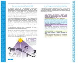 Guía de Educación Ambiental - Región Lambayeque
Evitar exponer a los estudiantes y personal a la
radiación solar entre las 10:00 y 15:00 horas. Trabajar
en áreas de sombra: Educación física, excursiones,
formaciones, espectáculos, etc.
Estar atentos a los informes y alertas del SENAMHI.
Mantener a los niños siempre a la sombra. Evitar poner
a los niños frente al sol y cuando se está trabajando
bajo el sol mantener a los niños en movimiento, no
deben estar estáticos por mucho tiempo.
Usar sombrero de ala ancha o gorro con visera y lentes
con filtro de sol.
Usar ropa delgada, manga larga, de algodón y colores
claros. Cubrir la mayor parte del cuerpo. Si es
inevitable trabajar al sol por más de media hora usar
bloqueadores solares.
Sembrar árboles para tener sombra natural.
Utilizar mallas protectoras a espacios intercalados en
patios.
Aumentar el consumo de alimentos ricos en vitaminas
antioxidantes A,C,E y tomar más líquidos: agua segura
y jugos naturales.
¿Por qué produce cáncer la Radiación UVB?
La radiación UVB por ser alta energía al incidir afecta
especialmente a las células en crecimiento de los niños y
adolescentes así como a la piel de todas las personas. Cuando las
células entran en el ciclo celular para su reproducción y en
consecuencia se da el crecimiento o para el recambio de nuevas
células como en la piel; su ADN (ácido desoxirribonucleico), que
es el material genético, se replica y debe mantener la secuencia de
las bases nitrogenadas que la constituyen.
Pero cuando hay exposición prolongada al sol, la radiación UVB
incide o choca en las células y es capaz de romper los enlaces que
mantienen unidas a las bases nitrogenadas, entonces se pierde o
se altera la secuencia de las bases provocando mutaciones
génicas que incrementan descontroladamente la reproducción de
las células y es lo que se conoce como cáncer. Ese proceso puede
durar años.
Por eso debemos cuidarnos todos y en especial los niños y
adolescentes porque están en crecimiento.
Nuestra piel es una barrera protectora del cuerpo y está formada
por capas de células. Las células de la epidermis o capa externa
viven sólo cuatro días, mientras tanto en la dermis o capa inferior se
están produciendo nuevas células para reemplazarlas, es decir en
la piel siempre hay células que están en reproducción, por lo que
soy muy vulnerables a la radiación UVB.
Los niños y adolescentes
son muy vulnerables a la
radiación UV porque están
en crecimiento. Necesitan
protección.
Así nos Protegemos de la Radiación Ultravioleta
El Ministerio de Educación ha emitido la R.V.M.N° 015-2011-ED en
el que ha dispuesto las siguientes medidas para proteger a los
estudiantes, profesores y otro personal de los impactos negativos
de la radiación ultravioleta:
360
 