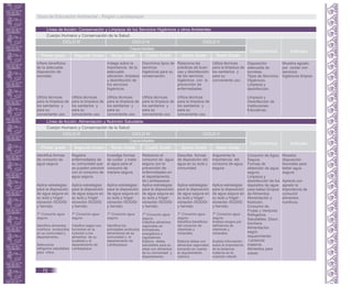 Línea de Acción: Conservación y Limpieza de los Servicios Higiénicos y otros Ambientes.
Cuerpo Humano y Conservación de la Salud.
Capacidades
Capacidades
Conocimientos Actitudes
Primer grado Segundo Grado Tercer Grado Cuarto Grado Quinto Grado Sexto Grado
CICLO III CICLO IV CICLO V
Infiere beneficios
de la adecuada
disposición de
excretas.
Utiliza técnicas
para la limpieza de
los sanitarios y
para su
conveniente uso.
Utiliza técnicas
para la limpieza de
los sanitarios y
para su
conveniente uso.
Indaga sobre la
importancia de la
adecuada
ubicación, limpieza
y desinfección de
los servicios
higiénicos.
Utiliza técnicas
para la limpieza de
los sanitarios y
para su
conveniente uso.
Discrimina tipos de
servicios
higiénicos para su
conservación.
Utiliza técnicas
para la limpieza de
los sanitarios y
para su
conveniente uso.
Relaciona las
prácticas de buen
uso y desinfección
de los servicios
higiénicos con la
prevención de
enfermedades.
Utiliza técnicas
para la limpieza de
los sanitarios y
para su
conveniente uso.
Utiliza técnicas
para la limpieza de
los sanitarios y
para su
conveniente uso.
Disposición
adecuada de
excretas.
Tipos de Servicios
Higiénicos.
Limpieza y
desinfección.
Limpieza y
Desinfección de
Instituciones
Educativas.
Muestra agrado
por contar con
servicios
higiénicos limpios.
Línea de Acción: Alimentación y Nutrición Saludable.
Cuerpo Humano y Conservación de la Salud.
Capacidades
Capacidades
Conocimientos Actitudes
Primer grado Segundo Grado Tercer Grado Cuarto Grado Quinto Grado Sexto Grado
CICLO III CICLO IV CICLO V
Identifica formas
de consumo de
agua segura
Aplica estrategias
para la disposición
de agua segura en
su aula y hogar:
cloración /SODIS/
y hervido.
T* Consume agua
segura.
Identifica alimentos
nutritivos producidos
en su comunidad y
departamento.
Selecciona
refrigerios saludables
para niños.
Registra
enfermedades de
su comunidad que
se pueden prevenir
con el consumo de
agua segura.
Aplica estrategias
para la disposición
de agua segura en
su aula y hogar:
cloración /SODIS/
y hervido.
T* Consume agua
segura.
Clasifica según sus
funciones en la
nutrición a los
alimentos de su
localidad y el
departamento de
Lambayeque.
Investiga formas
de cuidar y tratar
el agua para el
consumo de
manera segura.
Aplica estrategias
para la disposición
de agua segura en
su aula y hogar:
cloración /SODIS/
y hervido.
T* Consume agua
segura.
Identifica los
principales productos
alimenticios de su
comunidad y el
departamento de
Lambayeque.
Relaciona el
consumo de agua
segura con la
prevención de
enfermedades en
el departamento
de Lambayeque.
Aplica estrategias
para la disposición
de agua segura en
su aula y hogar:
cloración /SODIS/
y hervido.
T* Consume agua
segura.
Clasifica alimentos
regionales en
formadores,
energéticos y
reguladores.
Elabora dietas
saludables para su
edad con alimentos
de su comunidad y
departamento.
Describe formas
de disposición del
agua en su aula y
comunidad.
Aplica estrategias
para la disposición
de agua segura en
su aula y hogar:
cloración /SODIS/
y hervido.
T* Consume agua
segura.
Identifica beneficios
del consumo de
vitaminas y
minerales.
Elabora dietas con
alimentos regionales
tomando en cuenta
el requerimiento
calórico.
Argumenta la
importancia del
consumo de agua
segura.
Aplica estrategias
para la disposición
de agua segura en
su aula y hogar:
cloración /SODIS/
y hervido.
T* Consume agua
segura.
Analiza riesgos por
deficiencia de
vitaminas y
minerales.
Analiza información
sobre la importancia
de la lactancia
materna en la
nutrición infantil.
Consumo de Agua
Segura.
Formas de
obtención de agua
segura.
Limpieza y
desinfección de los
depósitos de agua
para beber.Grupos
de Alimentos.
Alimentación y
Nutrición.
Consumo de
Frutas y Verduras
Refrigerios
Saludables. Disco
lonchera.
Alimentación
según
requerimiento:
Lactancia
materna.
Alimentos para
crecer.
Muestra
disposición
favorable para
beber agua
segura.
Aprecia con
agrado la
importancia de
consumir
alimentos
nutritivos.
Guía de Educación Ambiental - Región Lambayeque
72
 